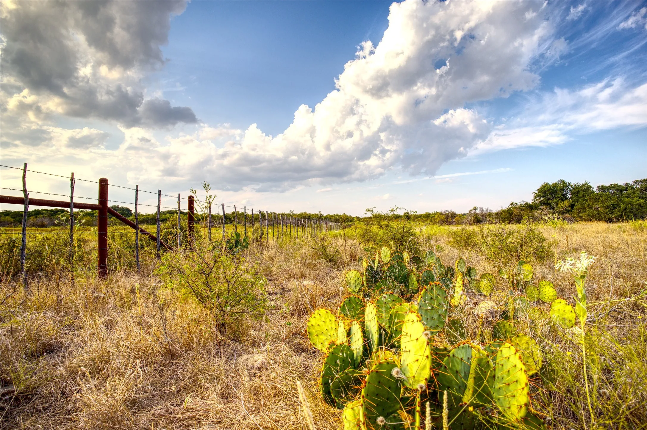 View of nature with rural landscape