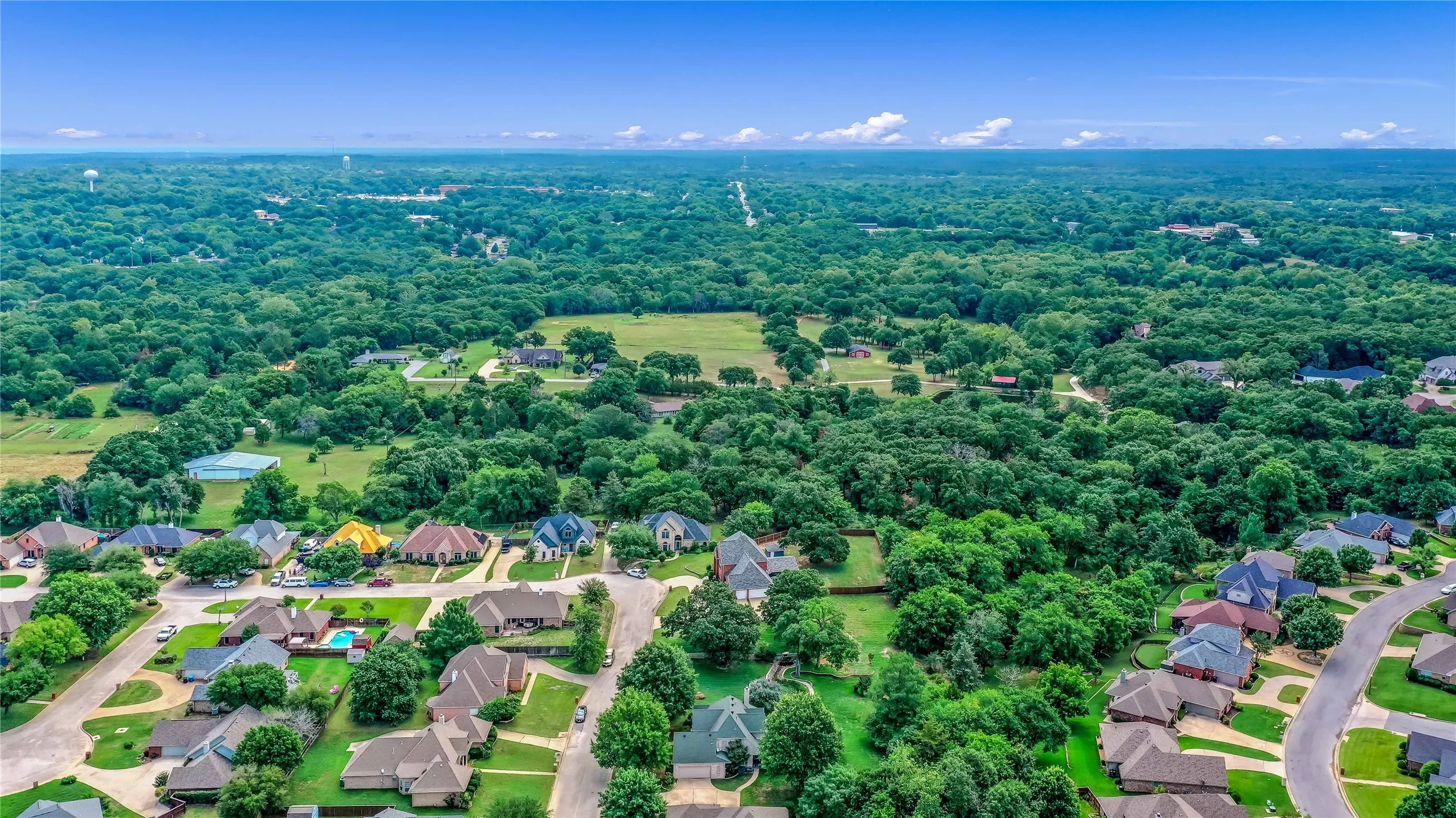 Aerial perspective of suburban area with a forest