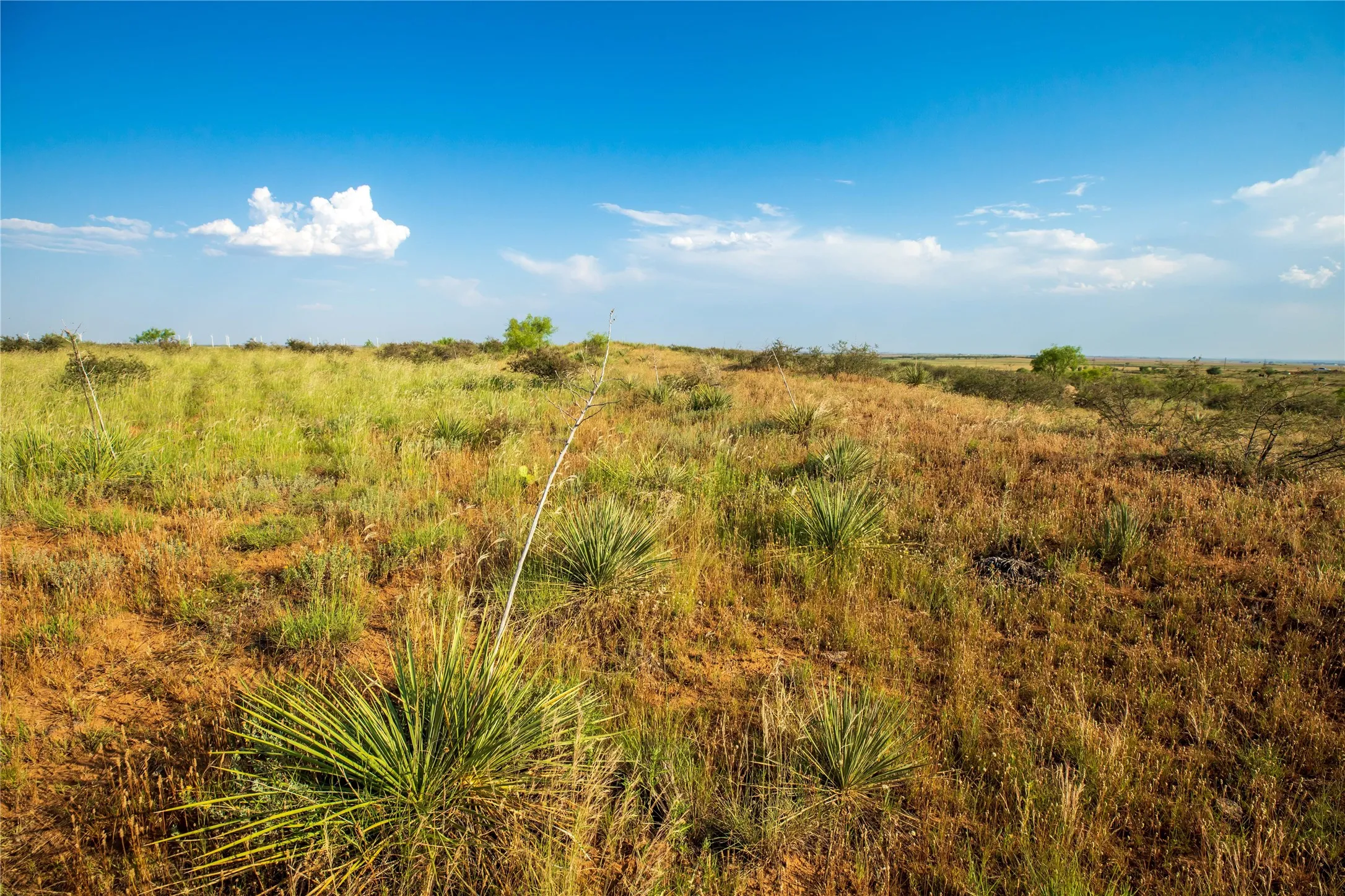 Ranch For Sale in Mitchell County , TBD County Road 458, Colorado City, Texas 79512, 0, 0, Garage spaces, 0 Sqft, built in 0, mls#21066447, Real Estate Agent in Colorado City, Homes For Sale in Mitchell county, Homes For Sale in Colorado City, Realtor in Colorado City Texas, Real Estate Brokerage Independent Realty Texas, Luminita Cordes Realtor