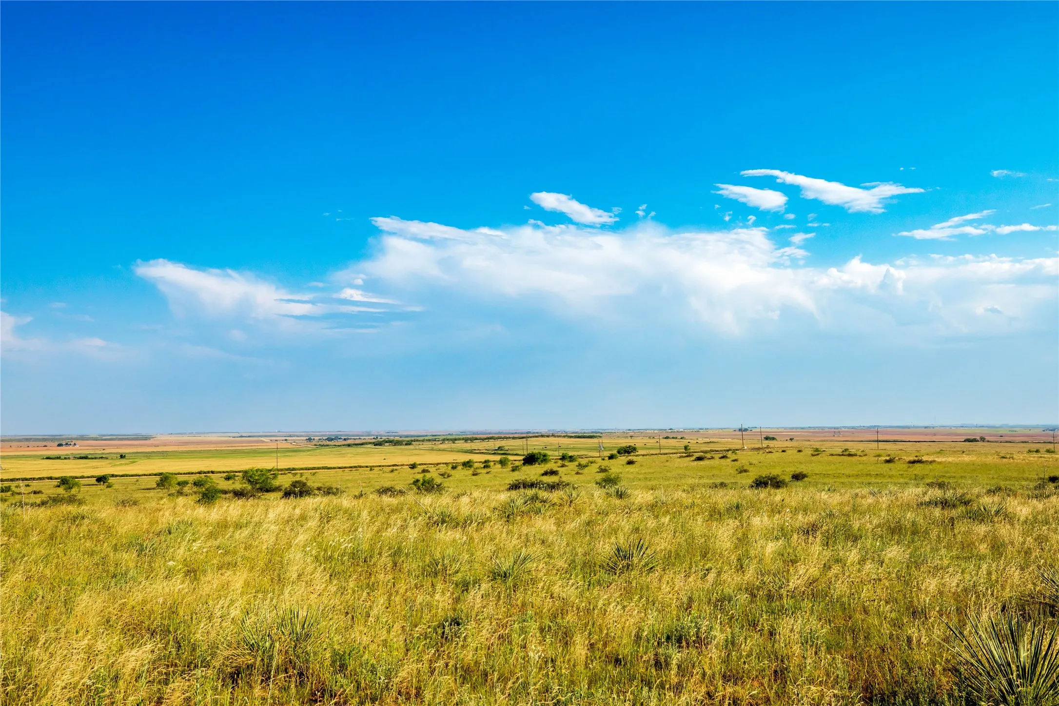 Ranch For Sale in Mitchell County , TBD County Road 458, Colorado City, Texas 79512, 0, 0, Garage spaces, 0 Sqft, built in 0, mls#21066447, Real Estate Agent in Colorado City, Homes For Sale in Mitchell county, Homes For Sale in Colorado City, Realtor in Colorado City Texas, Real Estate Brokerage Independent Realty Texas, Luminita Cordes Realtor