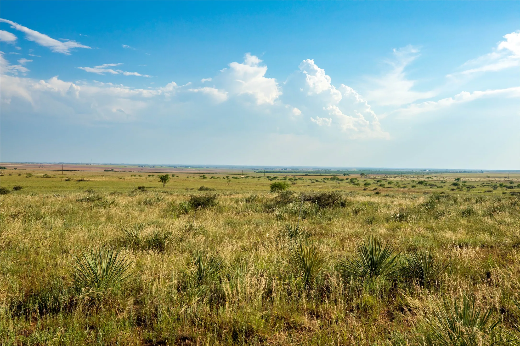 Ranch For Sale in Mitchell County , TBD County Road 458, Colorado City, Texas 79512, 0, 0, Garage spaces, 0 Sqft, built in 0, mls#21066447, Real Estate Agent in Colorado City, Homes For Sale in Mitchell county, Homes For Sale in Colorado City, Realtor in Colorado City Texas, Real Estate Brokerage Independent Realty Texas, Luminita Cordes Realtor