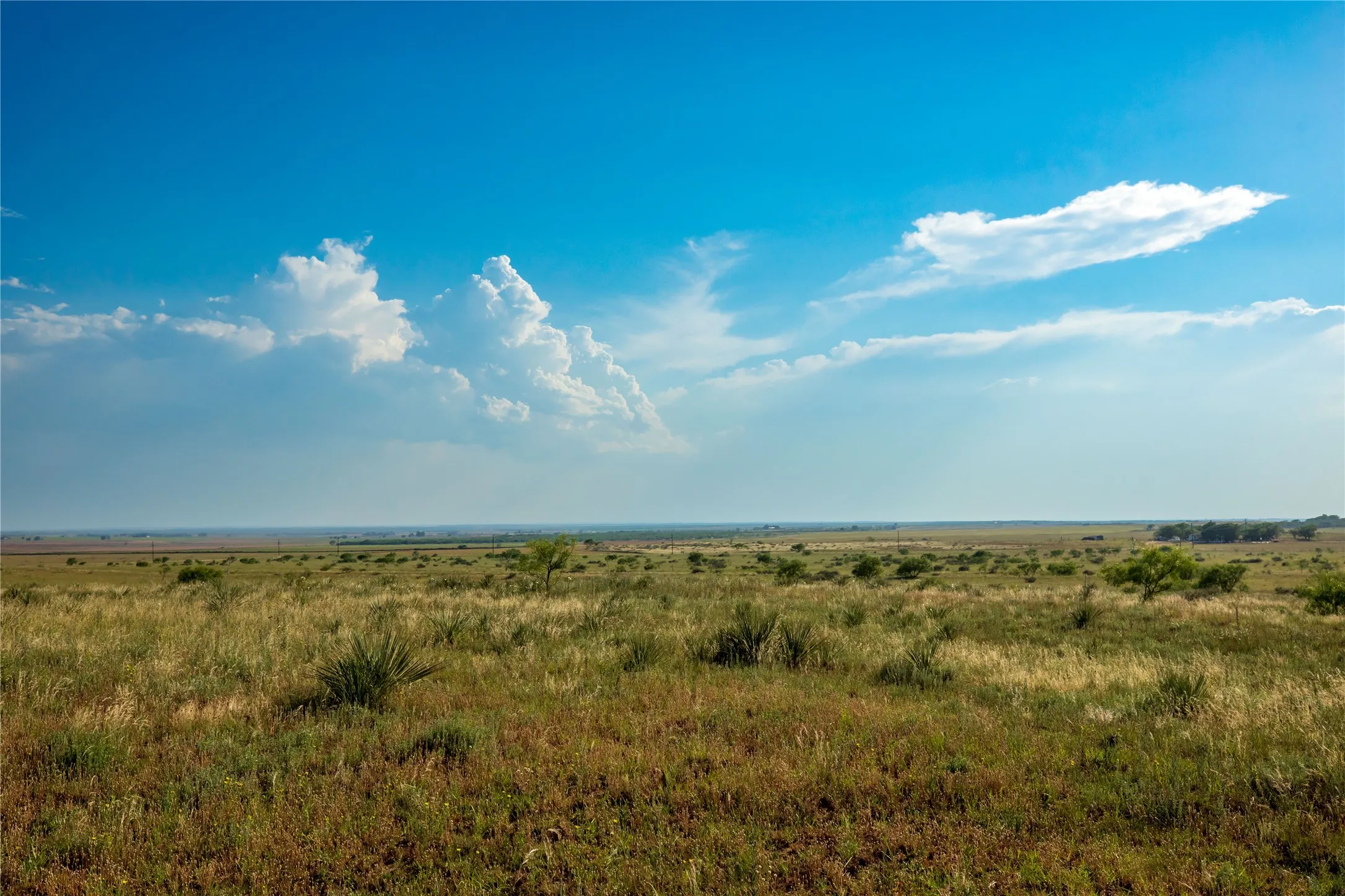 Ranch For Sale in Mitchell County , TBD County Road 458, Colorado City, Texas 79512, 0, 0, Garage spaces, 0 Sqft, built in 0, mls#21066447, Real Estate Agent in Colorado City, Homes For Sale in Mitchell county, Homes For Sale in Colorado City, Realtor in Colorado City Texas, Real Estate Brokerage Independent Realty Texas, Luminita Cordes Realtor