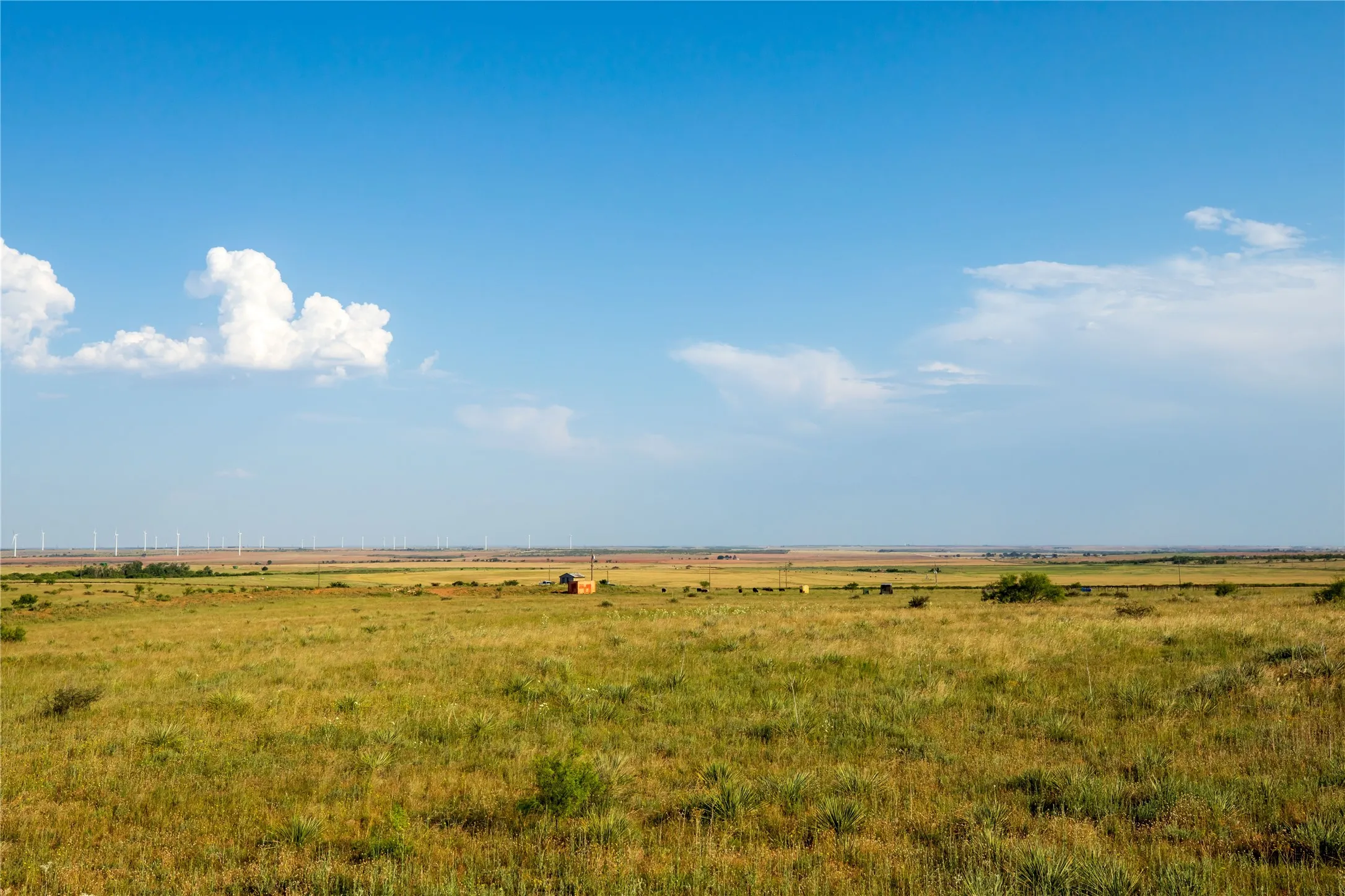 Ranch For Sale in Mitchell County , TBD County Road 458, Colorado City, Texas 79512, 0, 0, Garage spaces, 0 Sqft, built in 0, mls#21066447, Real Estate Agent in Colorado City, Homes For Sale in Mitchell county, Homes For Sale in Colorado City, Realtor in Colorado City Texas, Real Estate Brokerage Independent Realty Texas, Luminita Cordes Realtor