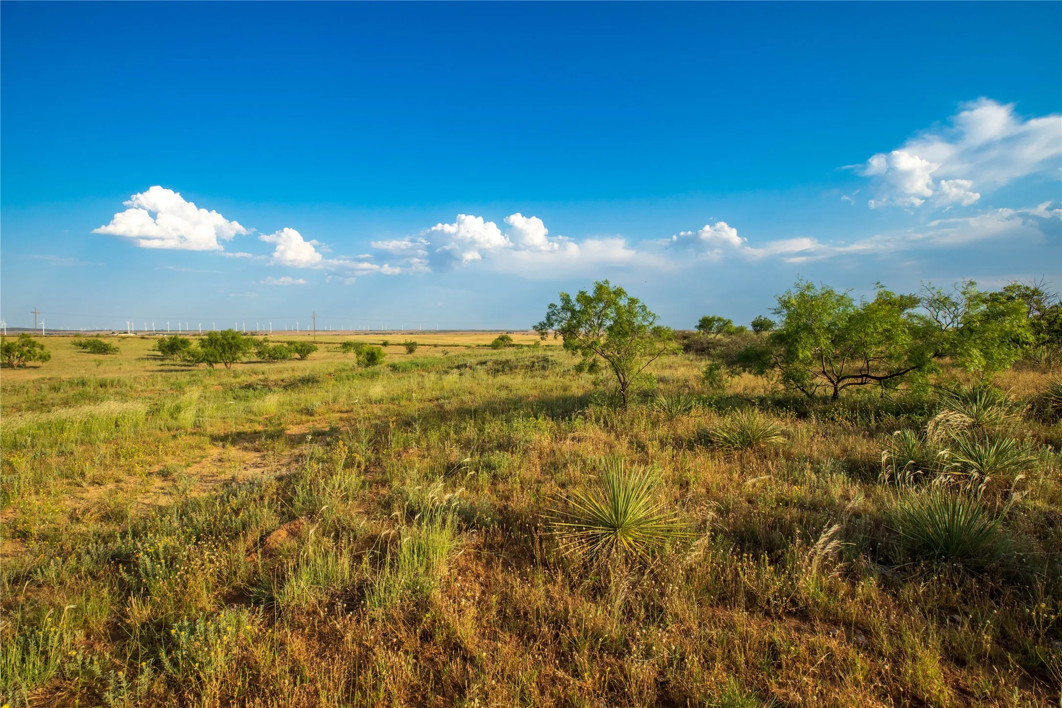 Ranch For Sale in Mitchell County , TBD County Road 458, Colorado City, Texas 79512, 0, 0, Garage spaces, 0 Sqft, built in 0, mls#21066447, Real Estate Agent in Colorado City, Homes For Sale in Mitchell county, Homes For Sale in Colorado City, Realtor in Colorado City Texas, Real Estate Brokerage Independent Realty Texas, Luminita Cordes Realtor
