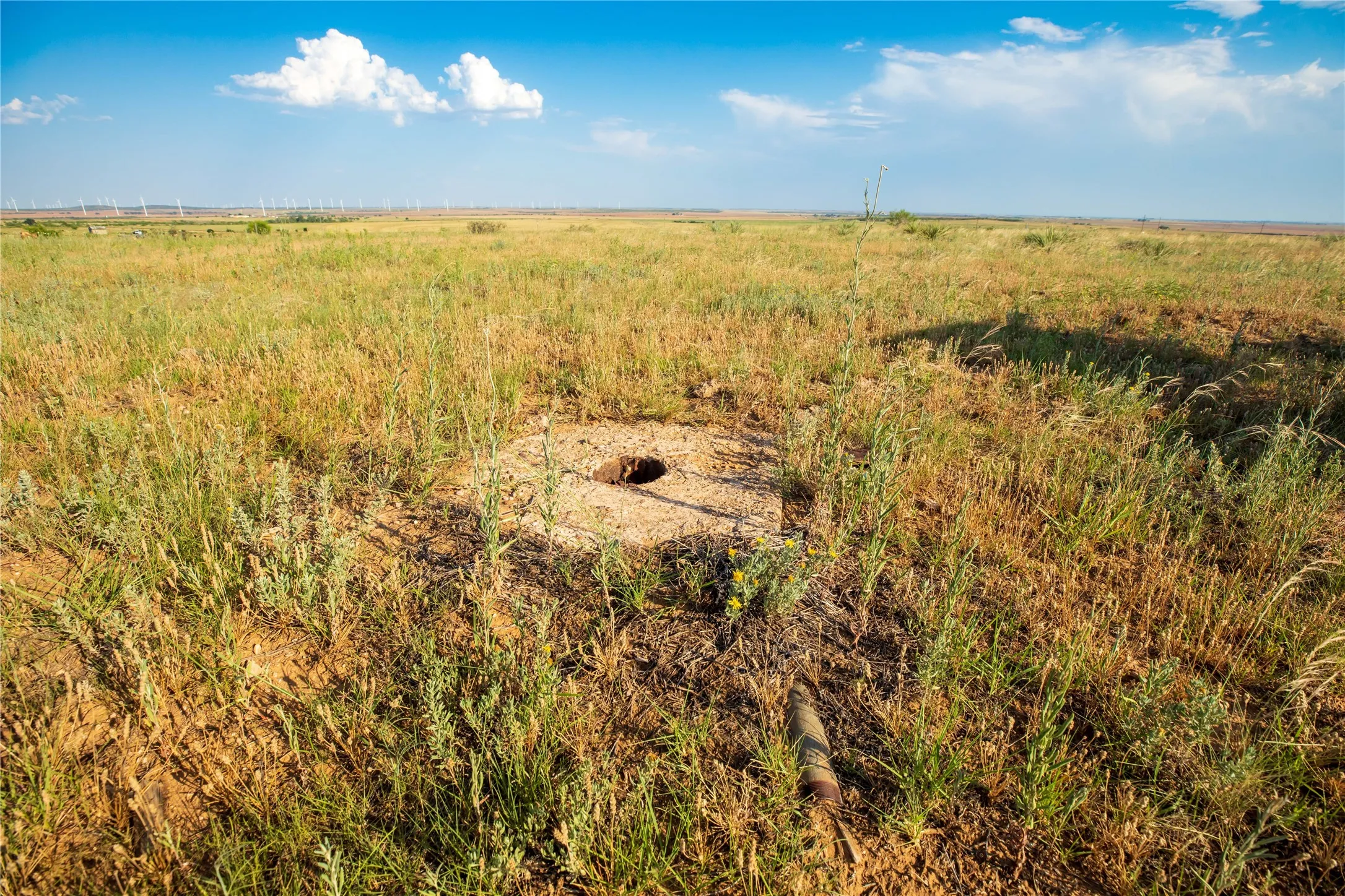 Ranch For Sale in Mitchell County , TBD County Road 458, Colorado City, Texas 79512, 0, 0, Garage spaces, 0 Sqft, built in 0, mls#21066447, Real Estate Agent in Colorado City, Homes For Sale in Mitchell county, Homes For Sale in Colorado City, Realtor in Colorado City Texas, Real Estate Brokerage Independent Realty Texas, Luminita Cordes Realtor