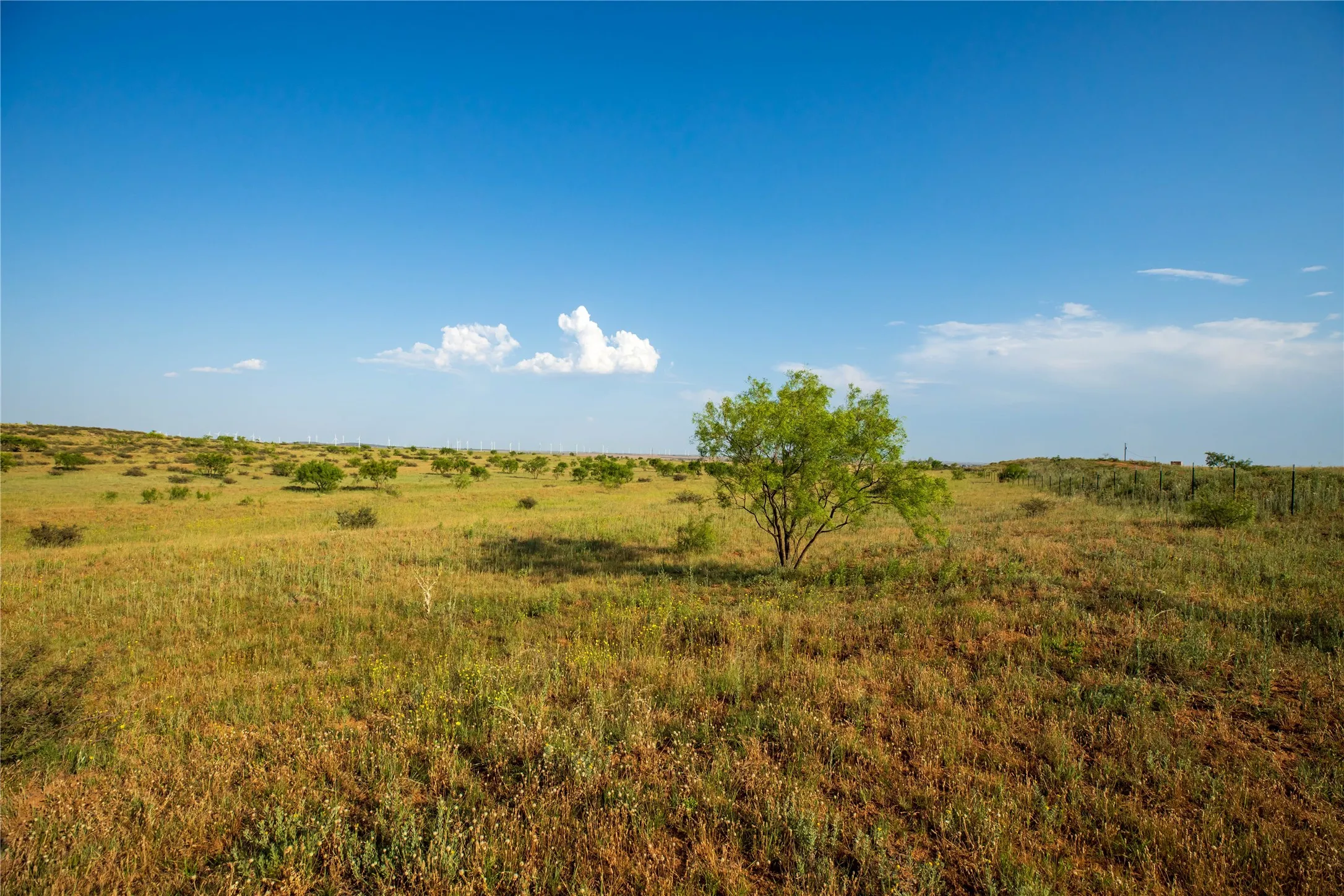 Ranch For Sale in Mitchell County , TBD County Road 458, Colorado City, Texas 79512, 0, 0, Garage spaces, 0 Sqft, built in 0, mls#21066447, Real Estate Agent in Colorado City, Homes For Sale in Mitchell county, Homes For Sale in Colorado City, Realtor in Colorado City Texas, Real Estate Brokerage Independent Realty Texas, Luminita Cordes Realtor