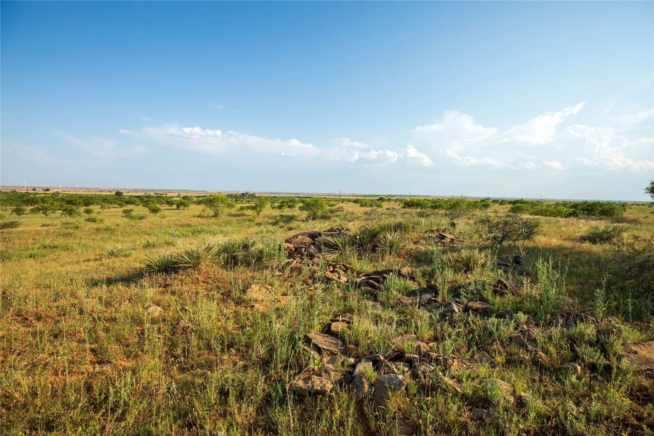 Ranch For Sale in Mitchell County , TBD County Road 458, Colorado City, Texas 79512, 0, 0, Garage spaces, 0 Sqft, built in 0, mls#21066447, Real Estate Agent in Colorado City, Homes For Sale in Mitchell county, Homes For Sale in Colorado City, Realtor in Colorado City Texas, Real Estate Brokerage Independent Realty Texas, Luminita Cordes Realtor