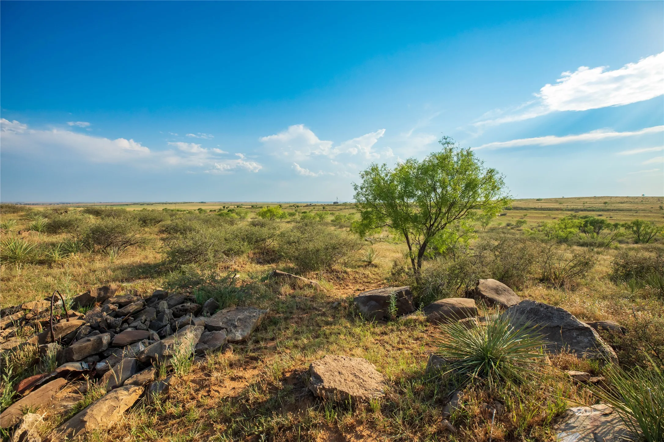 Ranch For Sale in Mitchell County , TBD County Road 458, Colorado City, Texas 79512, 0, 0, Garage spaces, 0 Sqft, built in 0, mls#21066447, Real Estate Agent in Colorado City, Homes For Sale in Mitchell county, Homes For Sale in Colorado City, Realtor in Colorado City Texas, Real Estate Brokerage Independent Realty Texas, Luminita Cordes Realtor