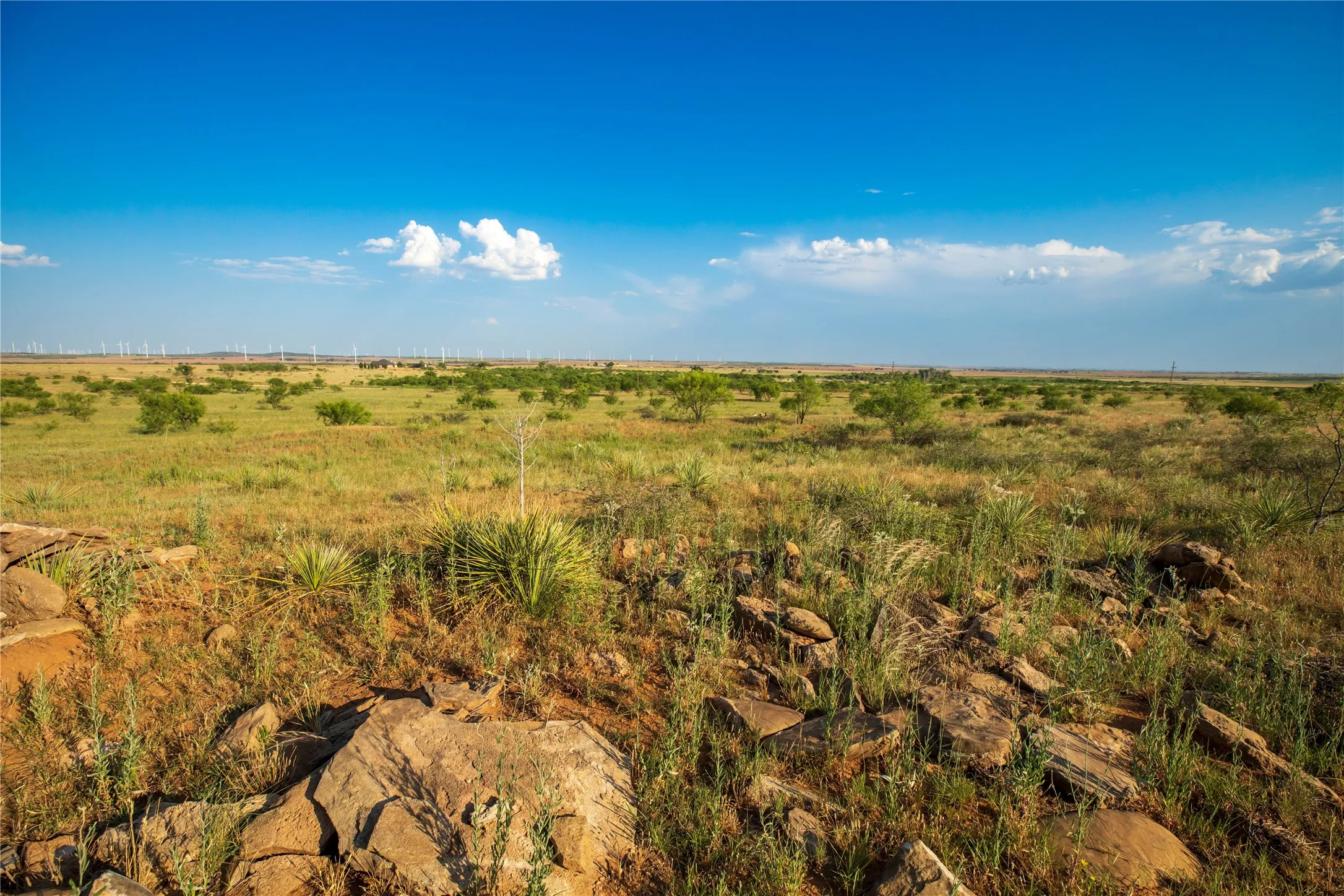 Ranch For Sale in Mitchell County , TBD County Road 458, Colorado City, Texas 79512, 0, 0, Garage spaces, 0 Sqft, built in 0, mls#21066447, Real Estate Agent in Colorado City, Homes For Sale in Mitchell county, Homes For Sale in Colorado City, Realtor in Colorado City Texas, Real Estate Brokerage Independent Realty Texas, Luminita Cordes Realtor