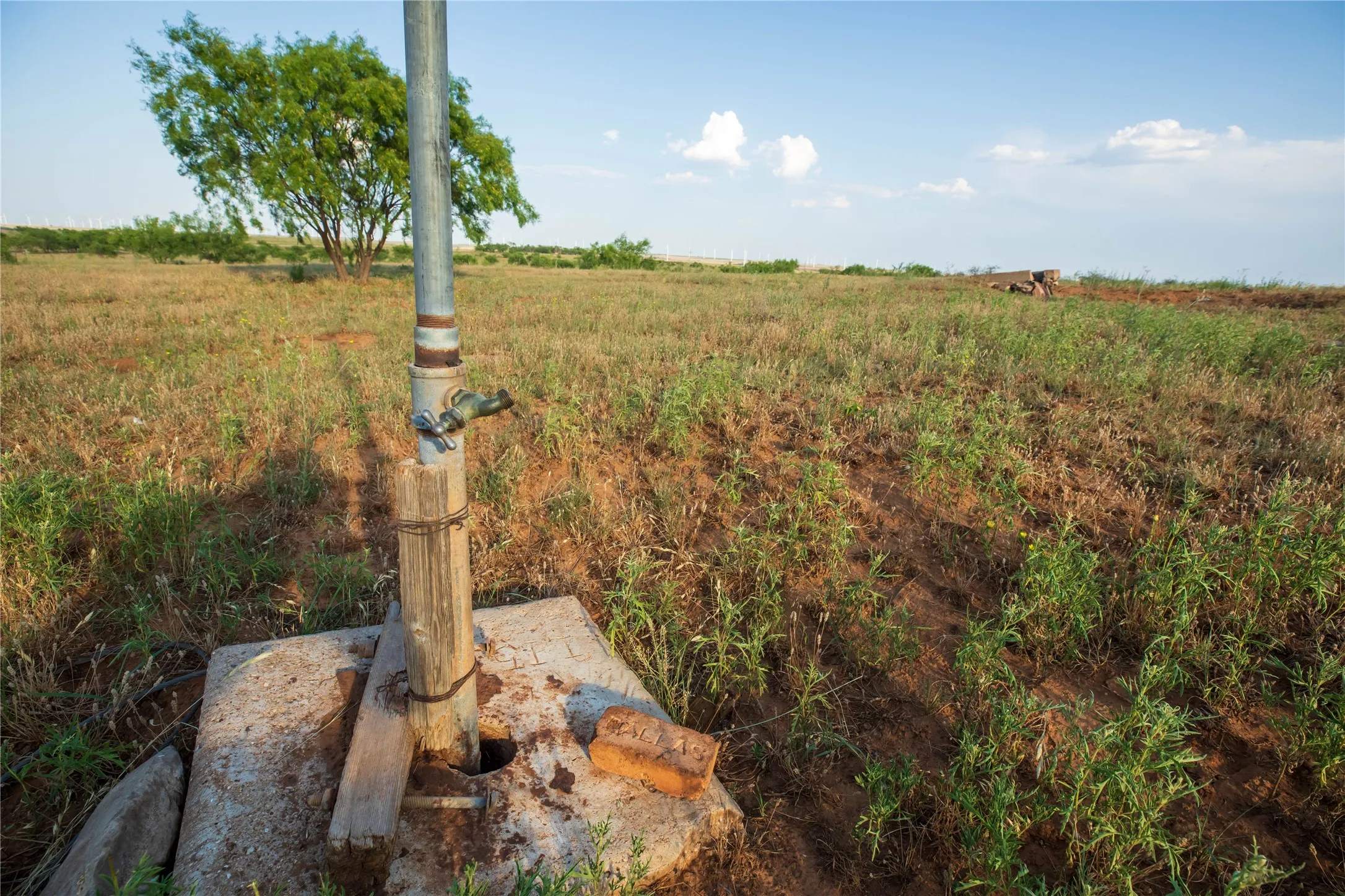 Ranch For Sale in Mitchell County , TBD County Road 458, Colorado City, Texas 79512, 0, 0, Garage spaces, 0 Sqft, built in 0, mls#21066447, Real Estate Agent in Colorado City, Homes For Sale in Mitchell county, Homes For Sale in Colorado City, Realtor in Colorado City Texas, Real Estate Brokerage Independent Realty Texas, Luminita Cordes Realtor