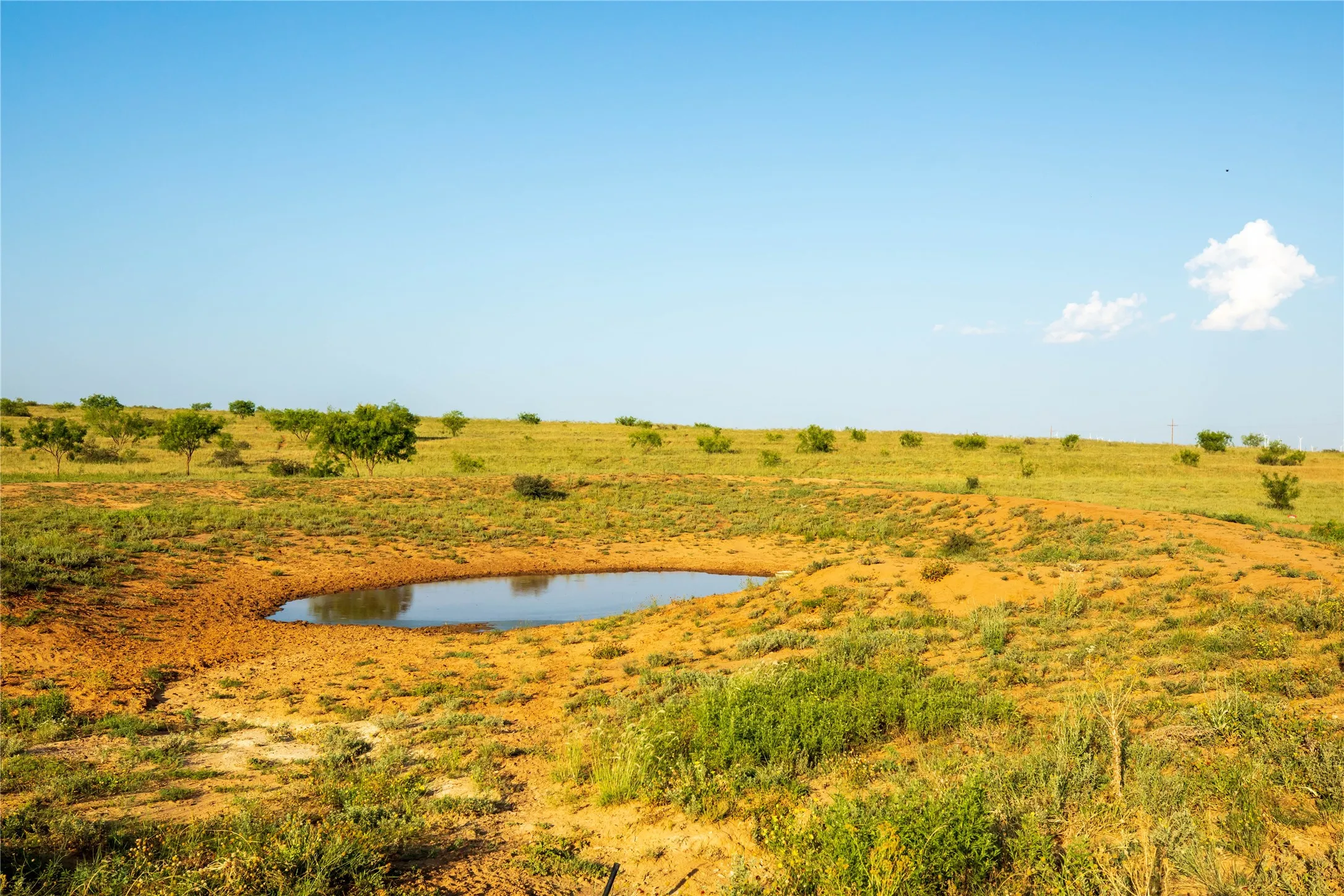 Ranch For Sale in Mitchell County , TBD County Road 458, Colorado City, Texas 79512, 0, 0, Garage spaces, 0 Sqft, built in 0, mls#21066447, Real Estate Agent in Colorado City, Homes For Sale in Mitchell county, Homes For Sale in Colorado City, Realtor in Colorado City Texas, Real Estate Brokerage Independent Realty Texas, Luminita Cordes Realtor