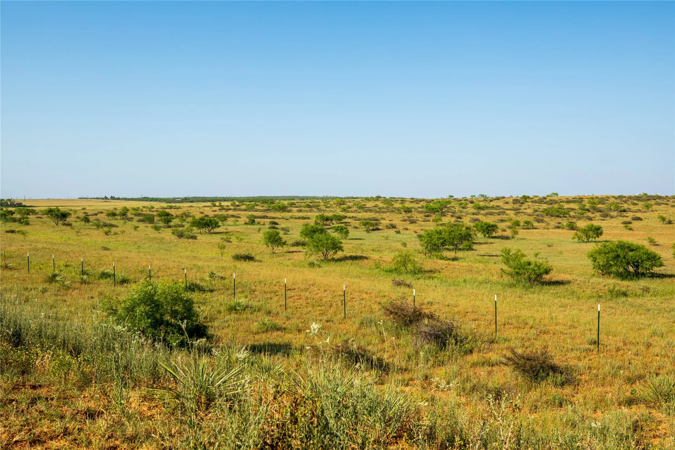 Ranch For Sale in Mitchell County , TBD County Road 458, Colorado City, Texas 79512, 0, 0, Garage spaces, 0 Sqft, built in 0, mls#21066447, Real Estate Agent in Colorado City, Homes For Sale in Mitchell county, Homes For Sale in Colorado City, Realtor in Colorado City Texas, Real Estate Brokerage Independent Realty Texas, Luminita Cordes Realtor
