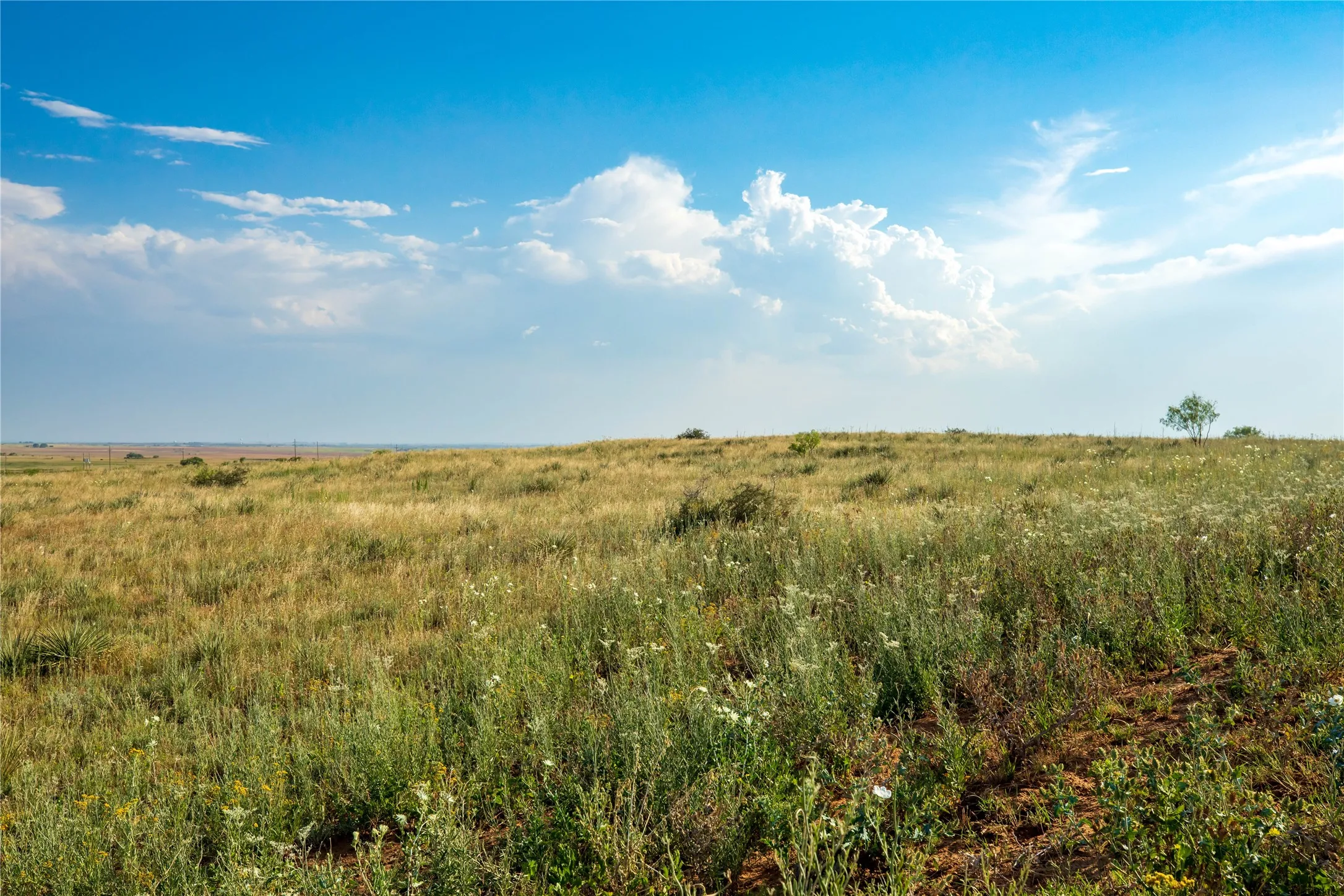 Ranch For Sale in Mitchell County , TBD County Road 458, Colorado City, Texas 79512, 0, 0, Garage spaces, 0 Sqft, built in 0, mls#21066447, Real Estate Agent in Colorado City, Homes For Sale in Mitchell county, Homes For Sale in Colorado City, Realtor in Colorado City Texas, Real Estate Brokerage Independent Realty Texas, Luminita Cordes Realtor
