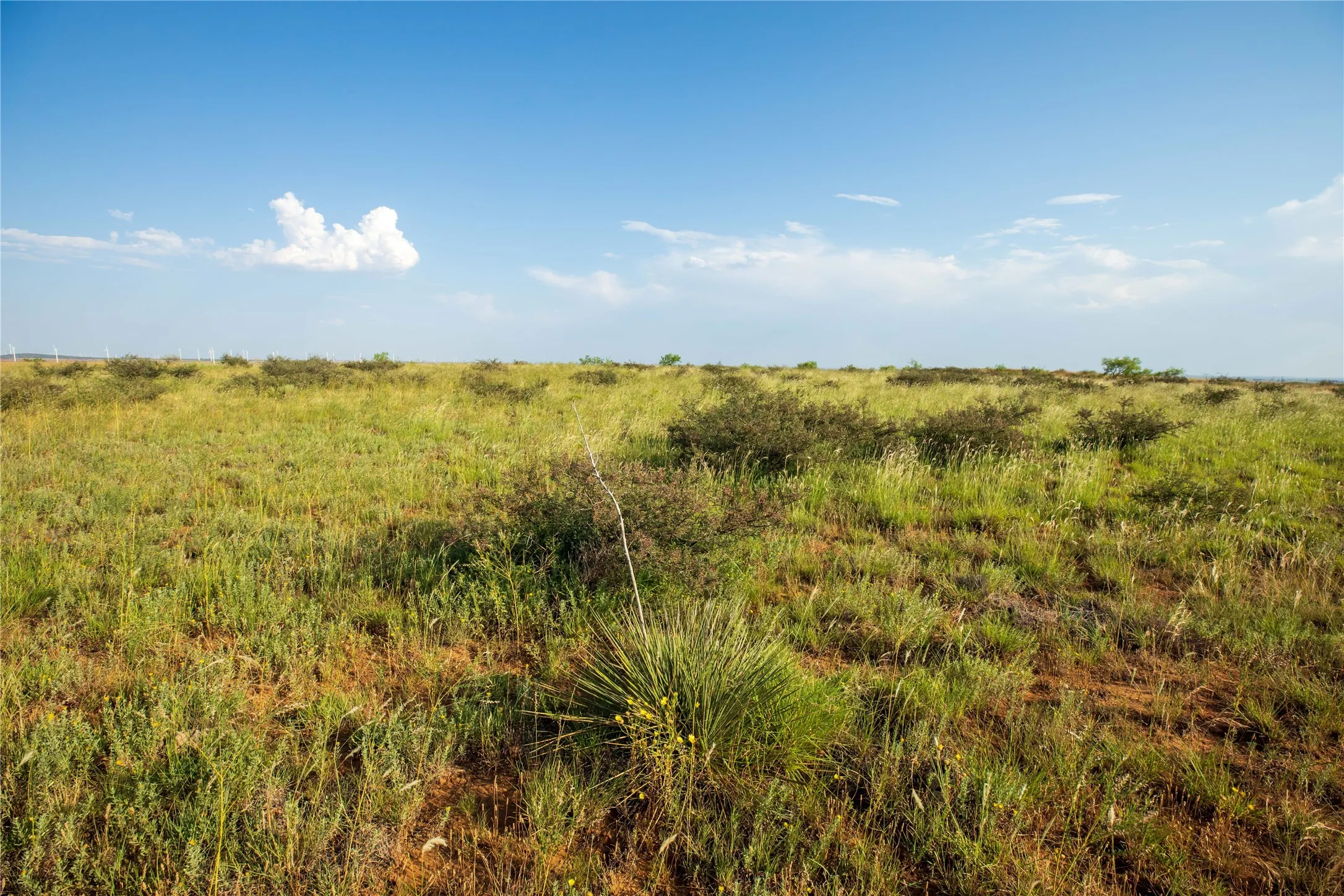 Ranch For Sale in Mitchell County , TBD County Road 458, Colorado City, Texas 79512, 0, 0, Garage spaces, 0 Sqft, built in 0, mls#21066447, Real Estate Agent in Colorado City, Homes For Sale in Mitchell county, Homes For Sale in Colorado City, Realtor in Colorado City Texas, Real Estate Brokerage Independent Realty Texas, Luminita Cordes Realtor