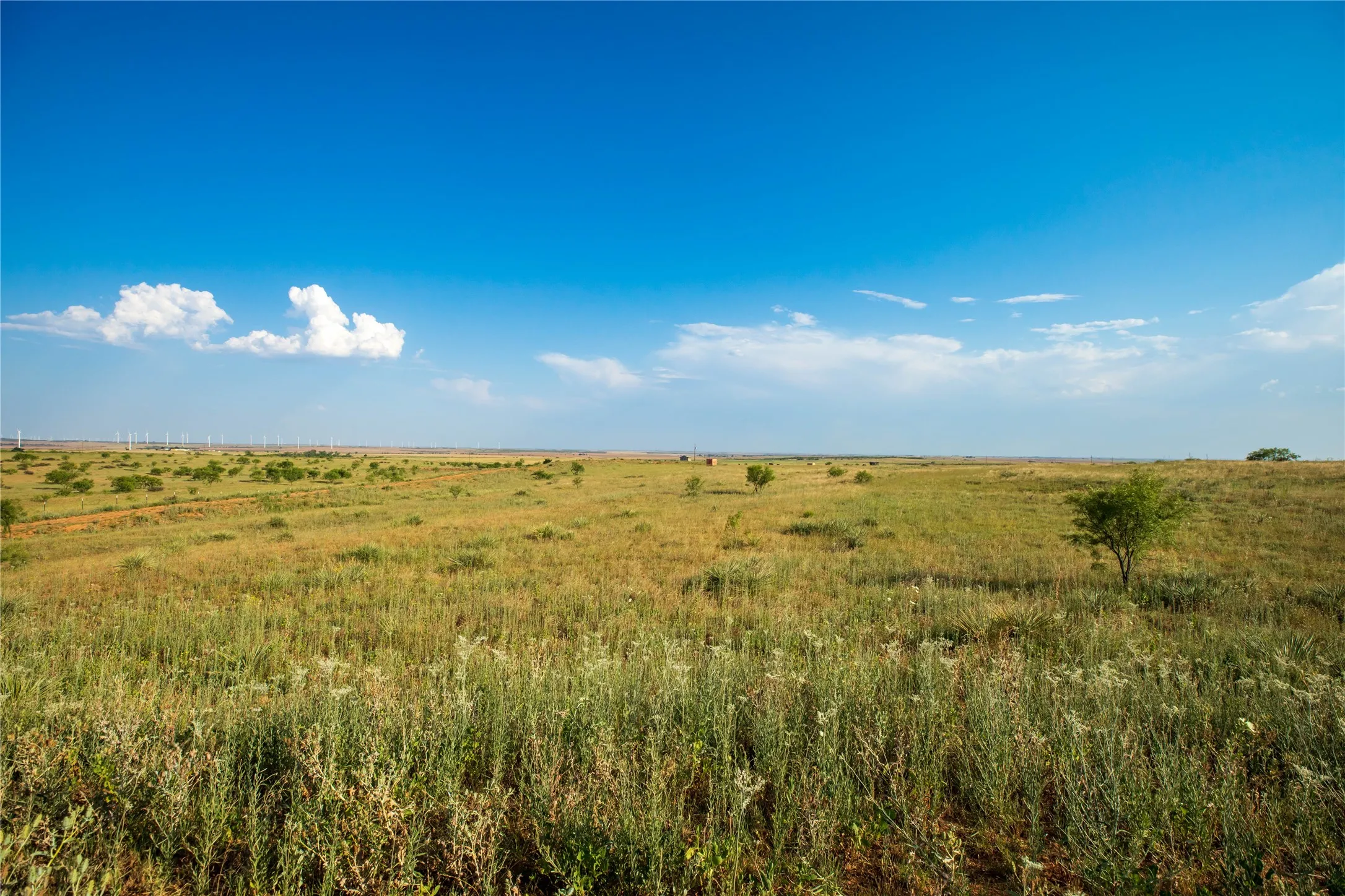 Ranch For Sale in Mitchell County , TBD County Road 458, Colorado City, Texas 79512, 0, 0, Garage spaces, 0 Sqft, built in 0, mls#21066447, Real Estate Agent in Colorado City, Homes For Sale in Mitchell county, Homes For Sale in Colorado City, Realtor in Colorado City Texas, Real Estate Brokerage Independent Realty Texas, Luminita Cordes Realtor