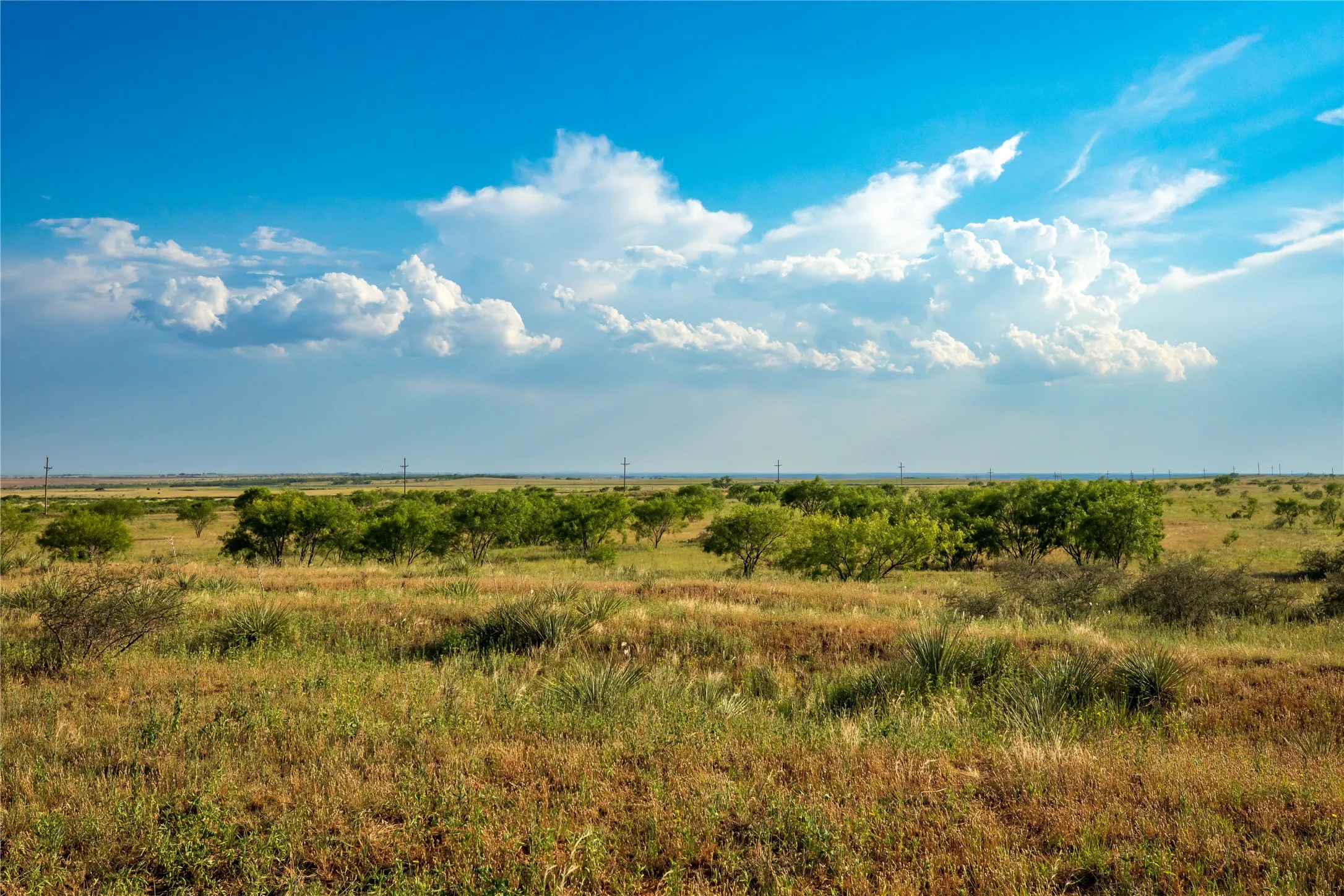 Ranch For Sale in Mitchell County , TBD County Road 458, Colorado City, Texas 79512, 0, 0, Garage spaces, 0 Sqft, built in 0, mls#21066447, Real Estate Agent in Colorado City, Homes For Sale in Mitchell county, Homes For Sale in Colorado City, Realtor in Colorado City Texas, Real Estate Brokerage Independent Realty Texas, Luminita Cordes Realtor