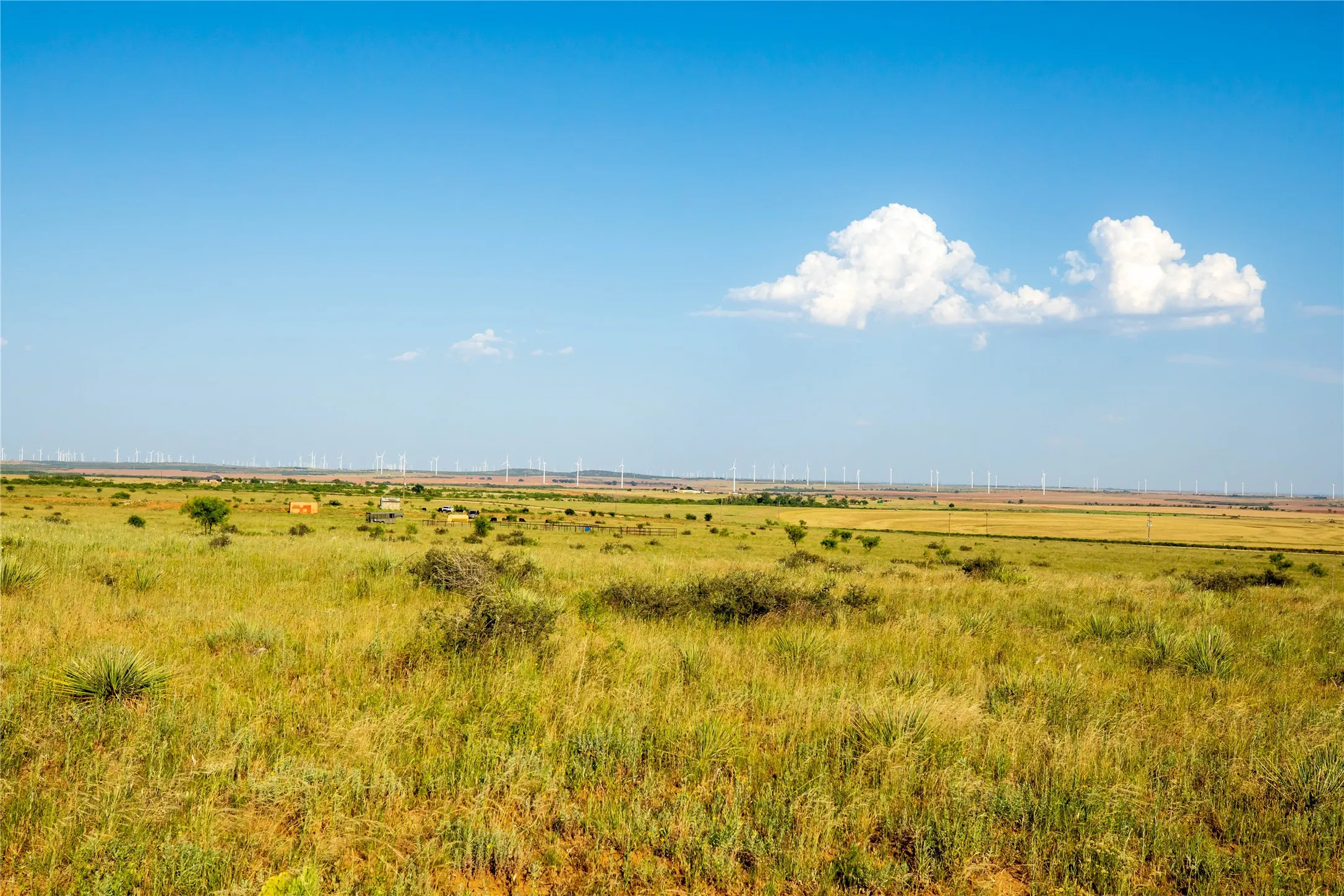 Ranch For Sale in Mitchell County , TBD County Road 458, Colorado City, Texas 79512, 0, 0, Garage spaces, 0 Sqft, built in 0, mls#21066447, Real Estate Agent in Colorado City, Homes For Sale in Mitchell county, Homes For Sale in Colorado City, Realtor in Colorado City Texas, Real Estate Brokerage Independent Realty Texas, Luminita Cordes Realtor