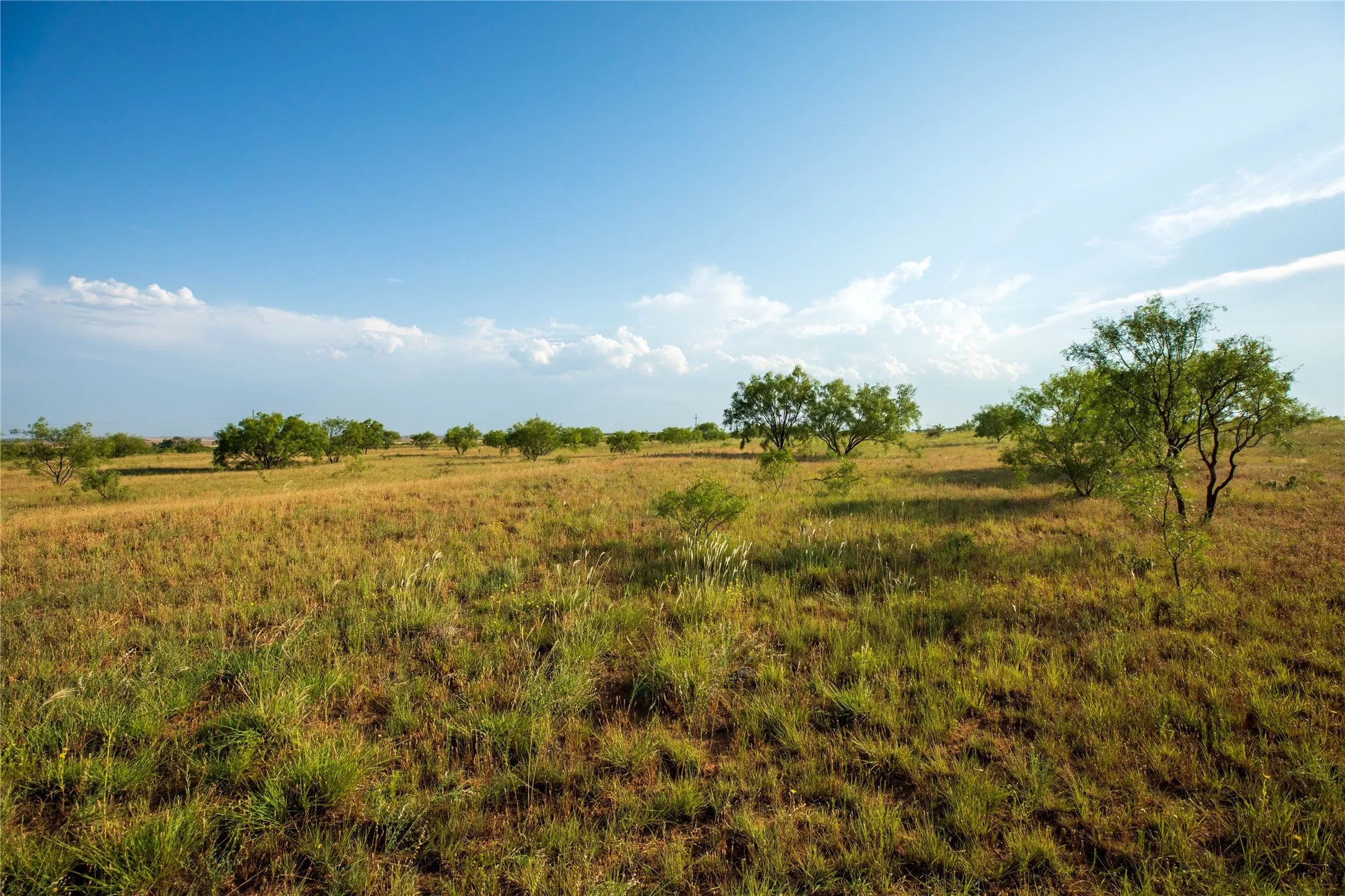 Ranch For Sale in Mitchell County , TBD County Road 458, Colorado City, Texas 79512, 0, 0, Garage spaces, 0 Sqft, built in 0, mls#21066447, Real Estate Agent in Colorado City, Homes For Sale in Mitchell county, Homes For Sale in Colorado City, Realtor in Colorado City Texas, Real Estate Brokerage Independent Realty Texas, Luminita Cordes Realtor