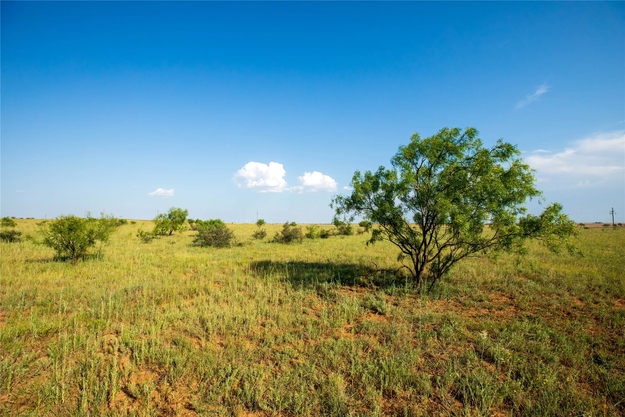 Ranch For Sale in Mitchell County , TBD County Road 458, Colorado City, Texas 79512, 0, 0, Garage spaces, 0 Sqft, built in 0, mls#21066447, Real Estate Agent in Colorado City, Homes For Sale in Mitchell county, Homes For Sale in Colorado City, Realtor in Colorado City Texas, Real Estate Brokerage Independent Realty Texas, Luminita Cordes Realtor