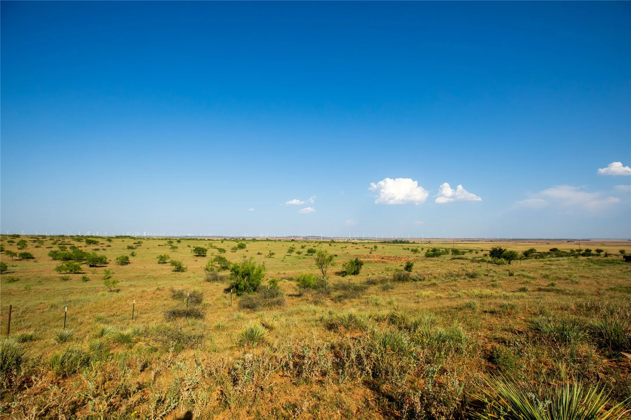 Ranch For Sale in Mitchell County , TBD County Road 458, Colorado City, Texas 79512, 0, 0, Garage spaces, 0 Sqft, built in 0, mls#21066447, Real Estate Agent in Colorado City, Homes For Sale in Mitchell county, Homes For Sale in Colorado City, Realtor in Colorado City Texas, Real Estate Brokerage Independent Realty Texas, Luminita Cordes Realtor
