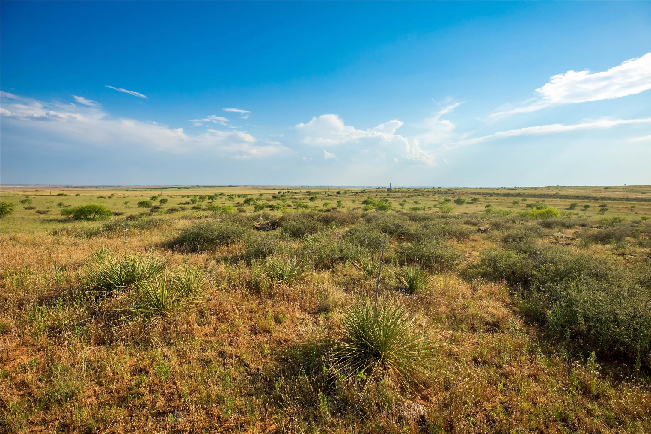 Ranch For Sale in Mitchell County , TBD County Road 458, Colorado City, Texas 79512, 0, 0, Garage spaces, 0 Sqft, built in 0, mls#21066447, Real Estate Agent in Colorado City, Homes For Sale in Mitchell county, Homes For Sale in Colorado City, Realtor in Colorado City Texas, Real Estate Brokerage Independent Realty Texas, Luminita Cordes Realtor