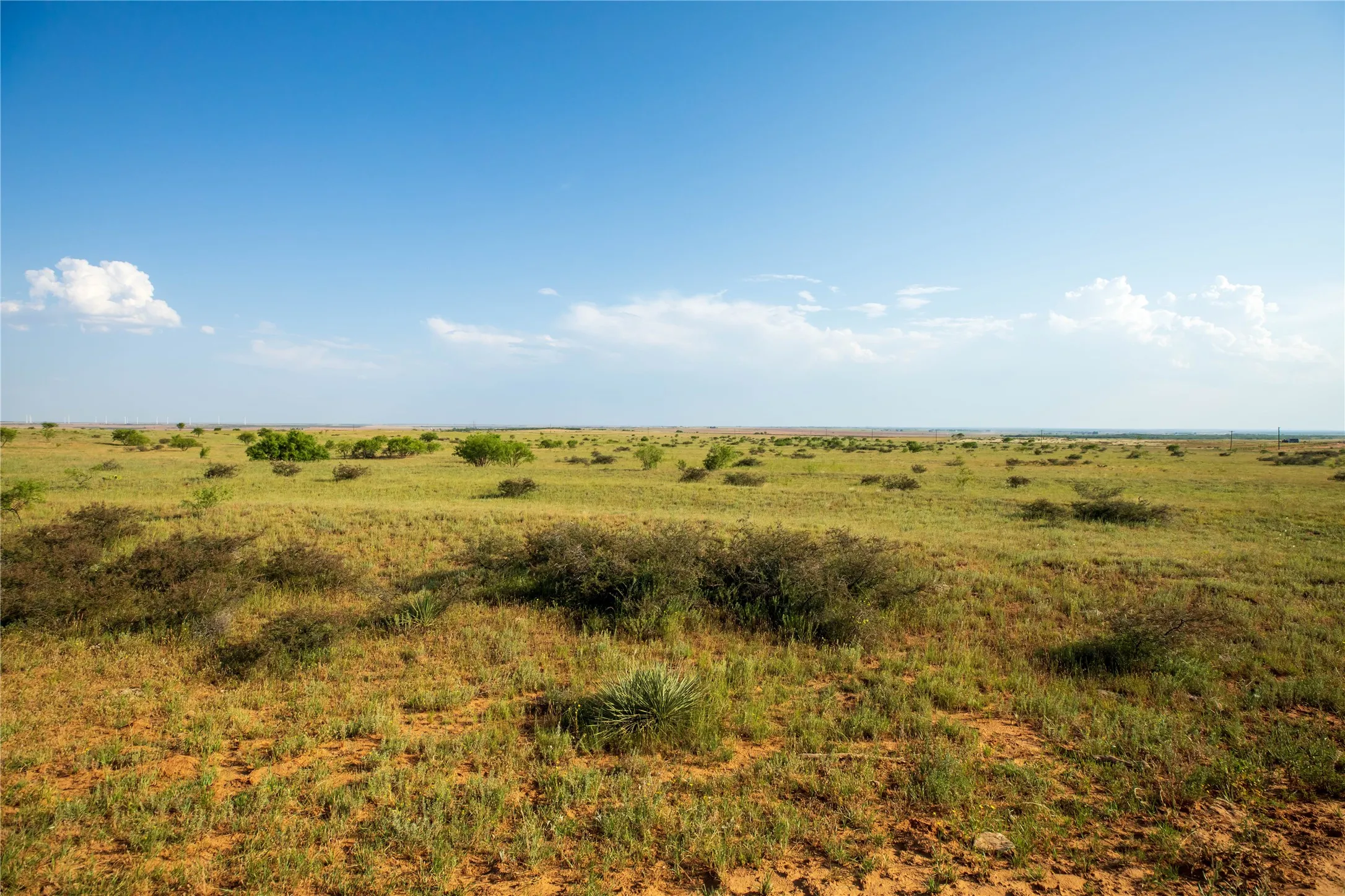 Ranch For Sale in Mitchell County , TBD County Road 458, Colorado City, Texas 79512, 0, 0, Garage spaces, 0 Sqft, built in 0, mls#21066447, Real Estate Agent in Colorado City, Homes For Sale in Mitchell county, Homes For Sale in Colorado City, Realtor in Colorado City Texas, Real Estate Brokerage Independent Realty Texas, Luminita Cordes Realtor