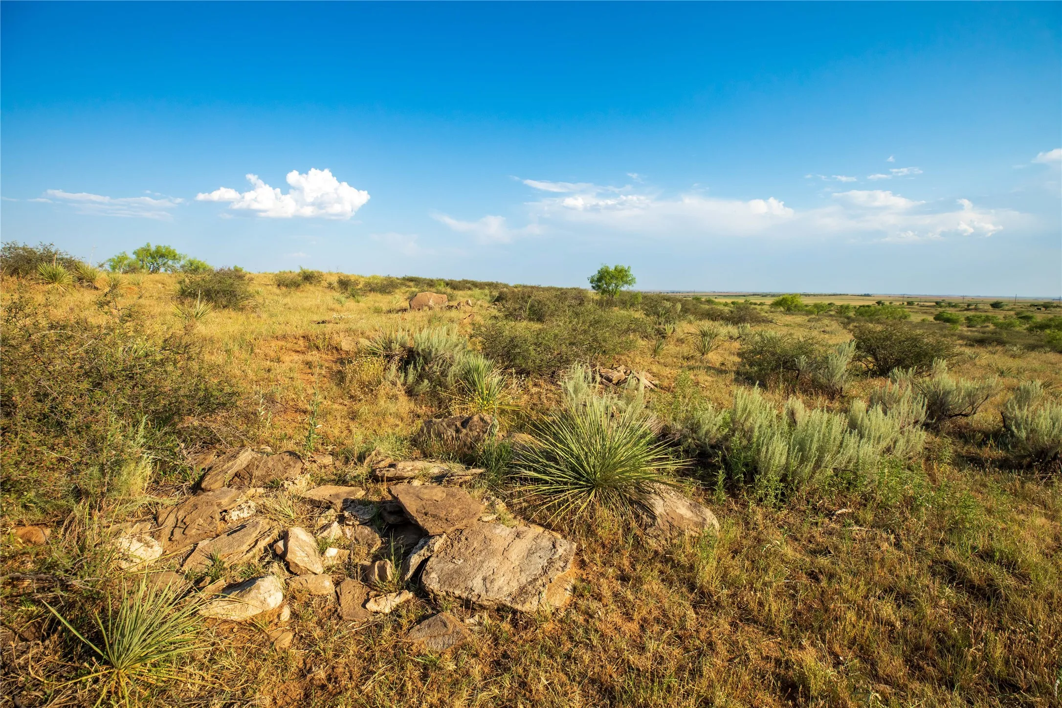 Ranch For Sale in Mitchell County , TBD County Road 458, Colorado City, Texas 79512, 0, 0, Garage spaces, 0 Sqft, built in 0, mls#21066447, Real Estate Agent in Colorado City, Homes For Sale in Mitchell county, Homes For Sale in Colorado City, Realtor in Colorado City Texas, Real Estate Brokerage Independent Realty Texas, Luminita Cordes Realtor
