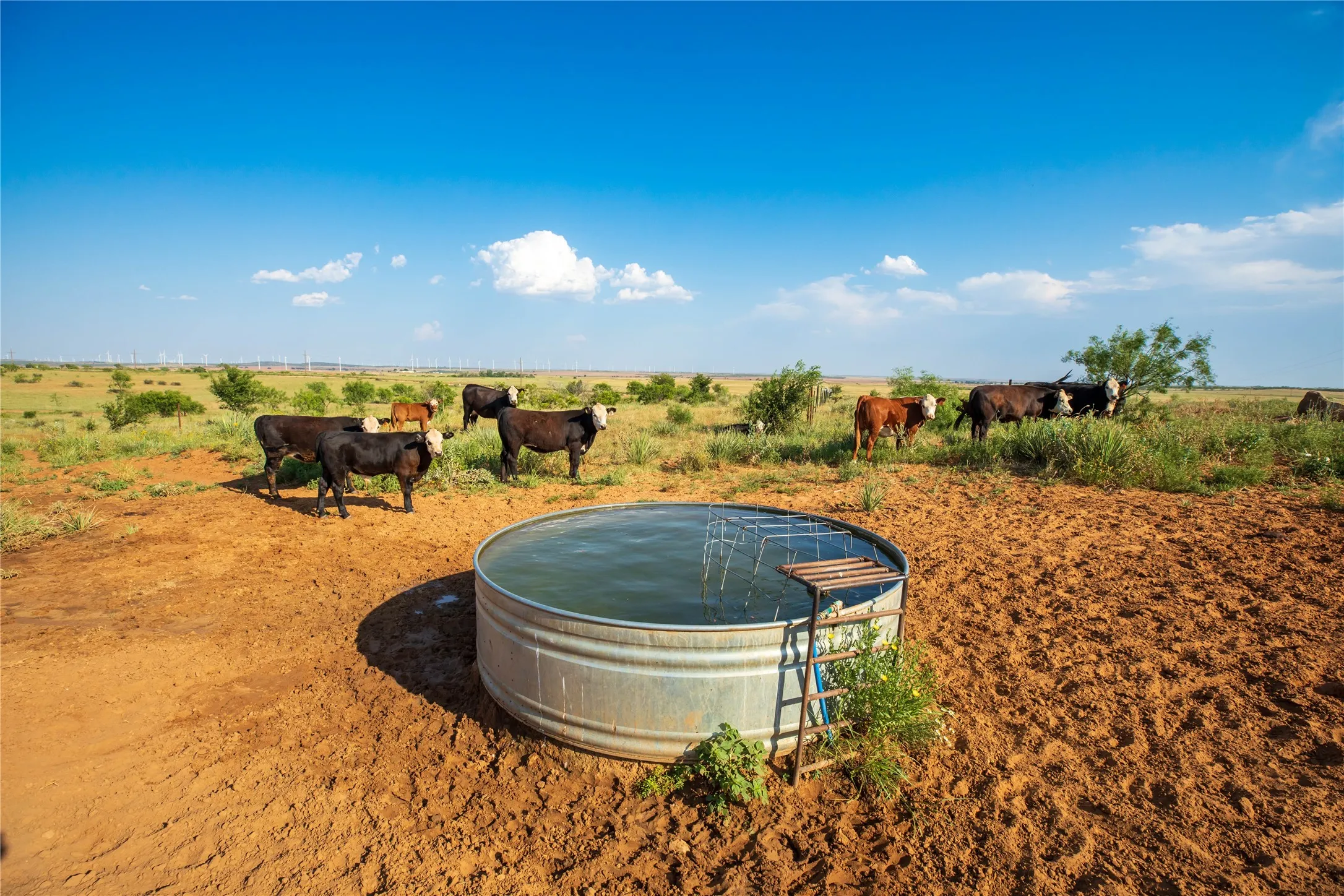Ranch For Sale in Mitchell County , TBD County Road 458, Colorado City, Texas 79512, 0, 0, Garage spaces, 0 Sqft, built in 0, mls#21066447, Real Estate Agent in Colorado City, Homes For Sale in Mitchell county, Homes For Sale in Colorado City, Realtor in Colorado City Texas, Real Estate Brokerage Independent Realty Texas, Luminita Cordes Realtor