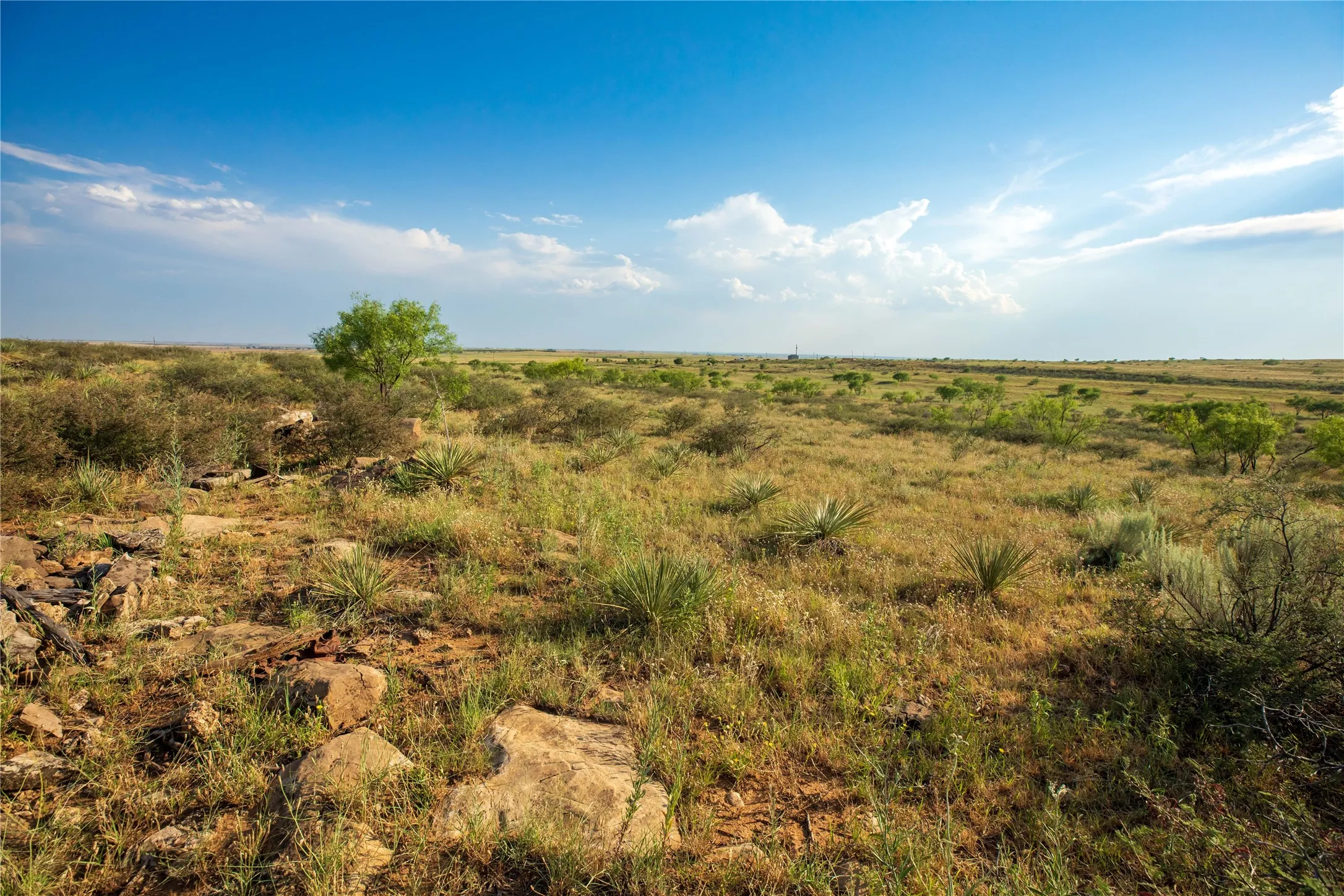 Ranch For Sale in Mitchell County , TBD County Road 458, Colorado City, Texas 79512, 0, 0, Garage spaces, 0 Sqft, built in 0, mls#21066447, Real Estate Agent in Colorado City, Homes For Sale in Mitchell county, Homes For Sale in Colorado City, Realtor in Colorado City Texas, Real Estate Brokerage Independent Realty Texas, Luminita Cordes Realtor