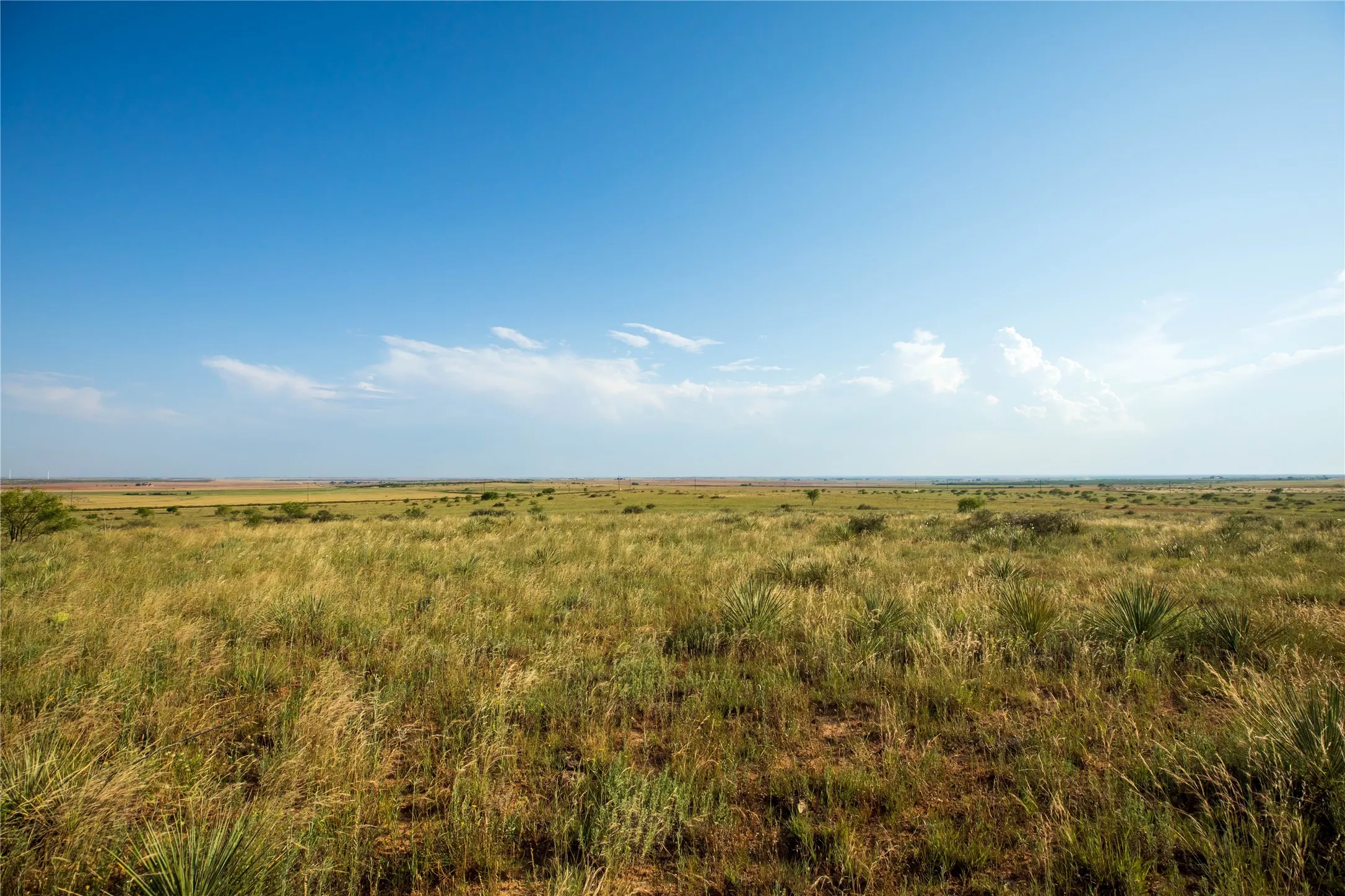 Ranch For Sale in Mitchell County , TBD County Road 458, Colorado City, Texas 79512, 0, 0, Garage spaces, 0 Sqft, built in 0, mls#21066447, Real Estate Agent in Colorado City, Homes For Sale in Mitchell county, Homes For Sale in Colorado City, Realtor in Colorado City Texas, Real Estate Brokerage Independent Realty Texas, Luminita Cordes Realtor