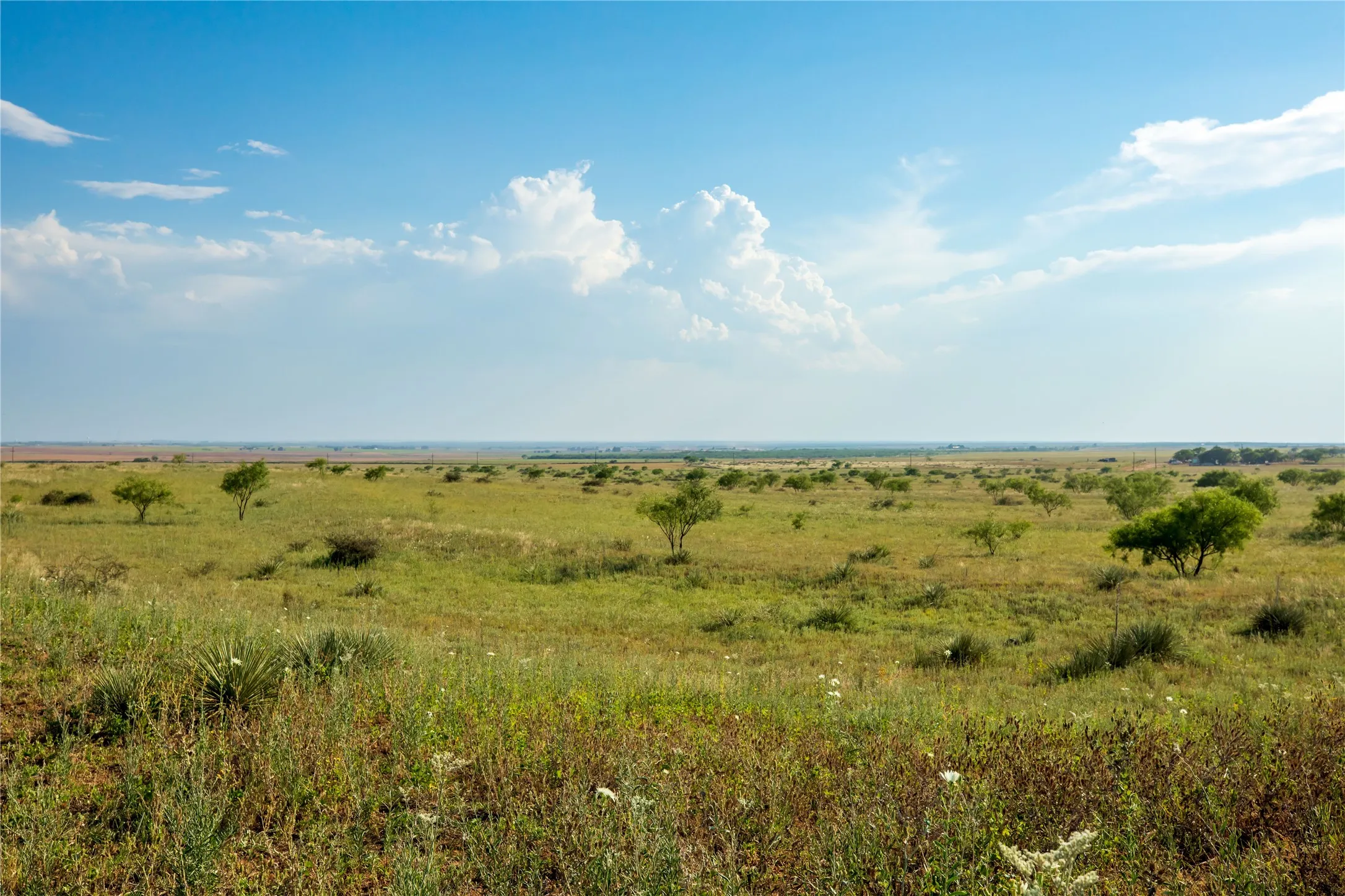 Ranch For Sale in Mitchell County , TBD County Road 458, Colorado City, Texas 79512, 0, 0, Garage spaces, 0 Sqft, built in 0, mls#21066447, Real Estate Agent in Colorado City, Homes For Sale in Mitchell county, Homes For Sale in Colorado City, Realtor in Colorado City Texas, Real Estate Brokerage Independent Realty Texas, Luminita Cordes Realtor