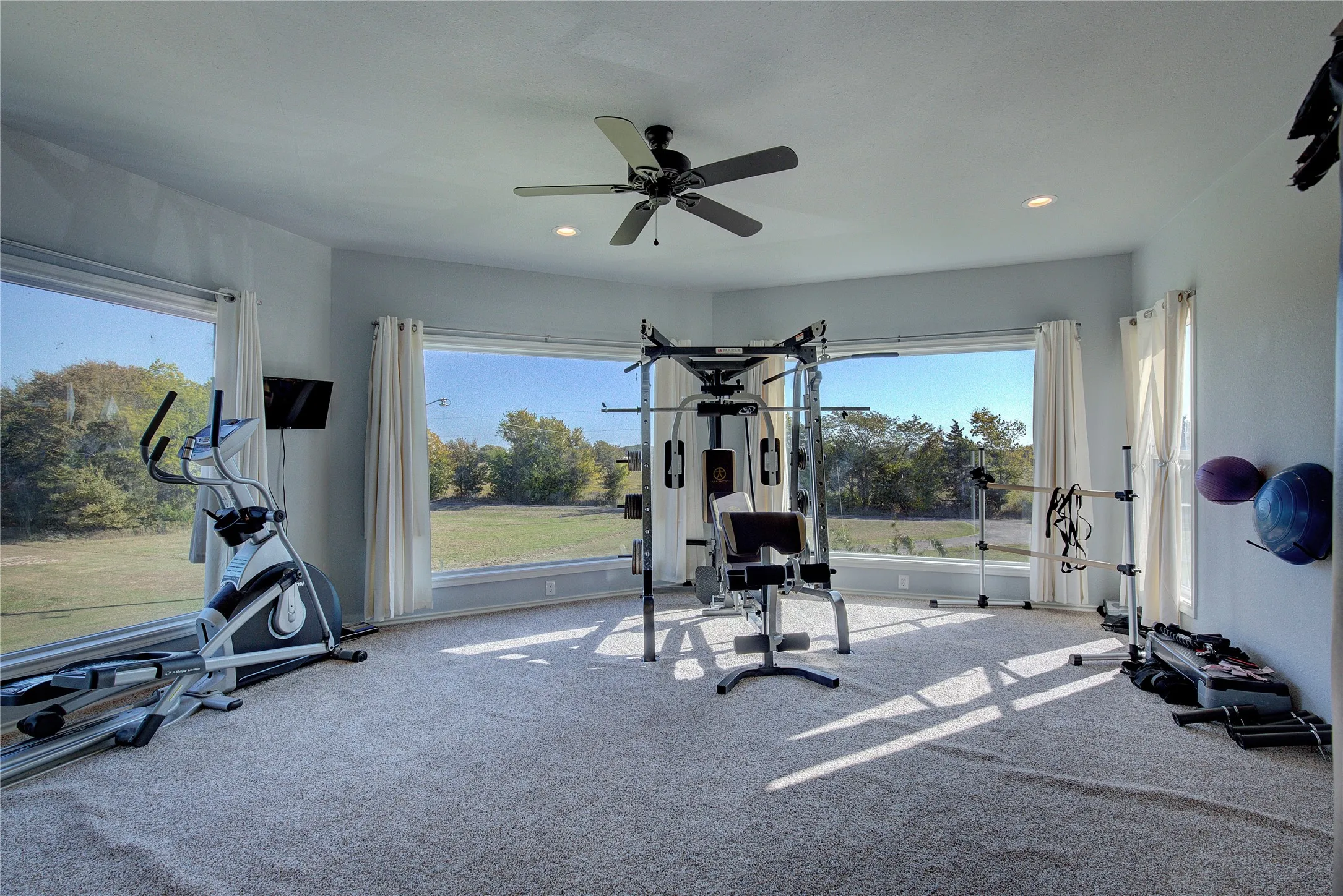 Exercise area featuring carpet flooring, a wealth of natural light, and ceiling fan