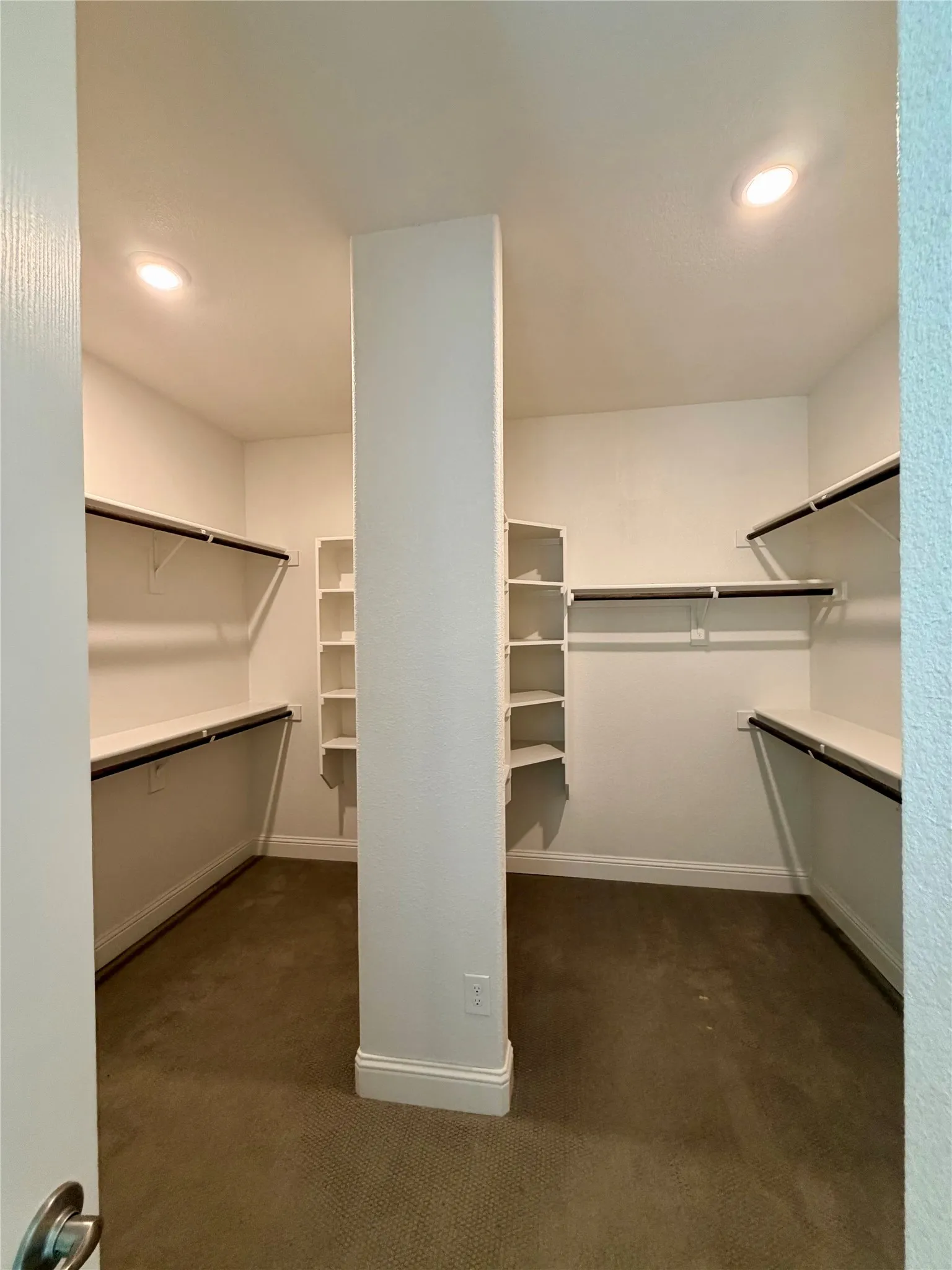 Primary Walk in closet featuring dark colored carpet
