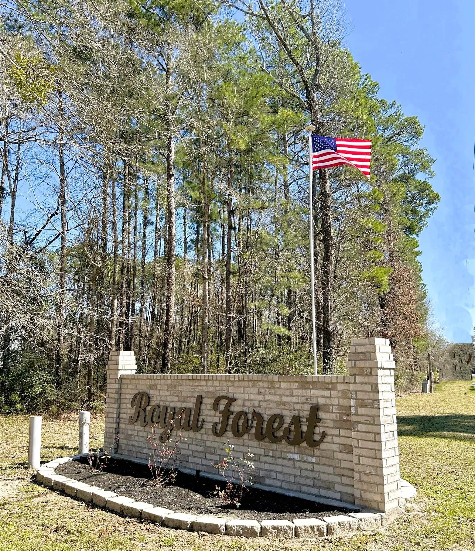 Another beautiful day in Royal Forest!