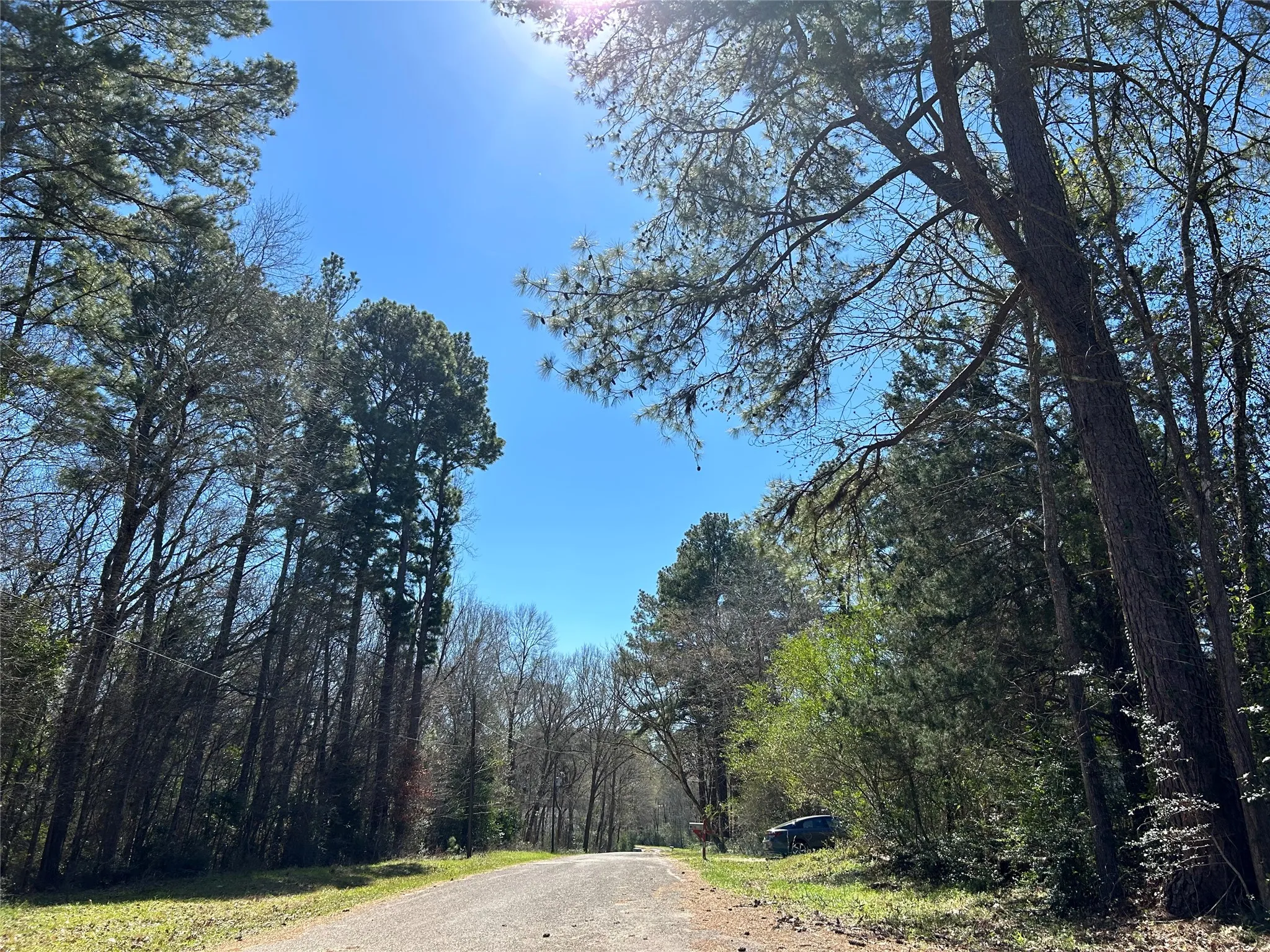 Royal Creek Rd. (Lot 471A is on left)
Another beautiful day in Royal Forest!