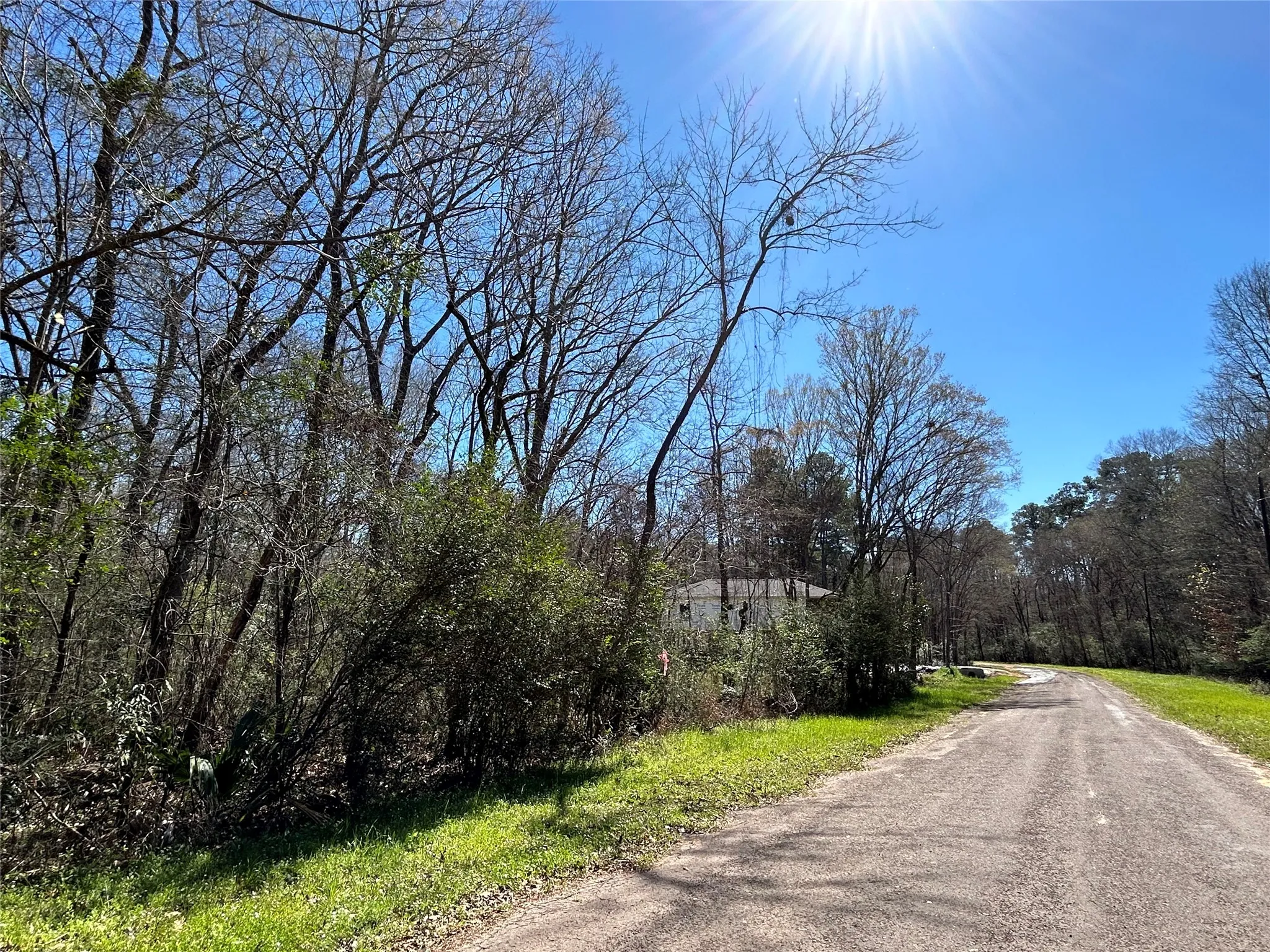 LOT 471A looking west.