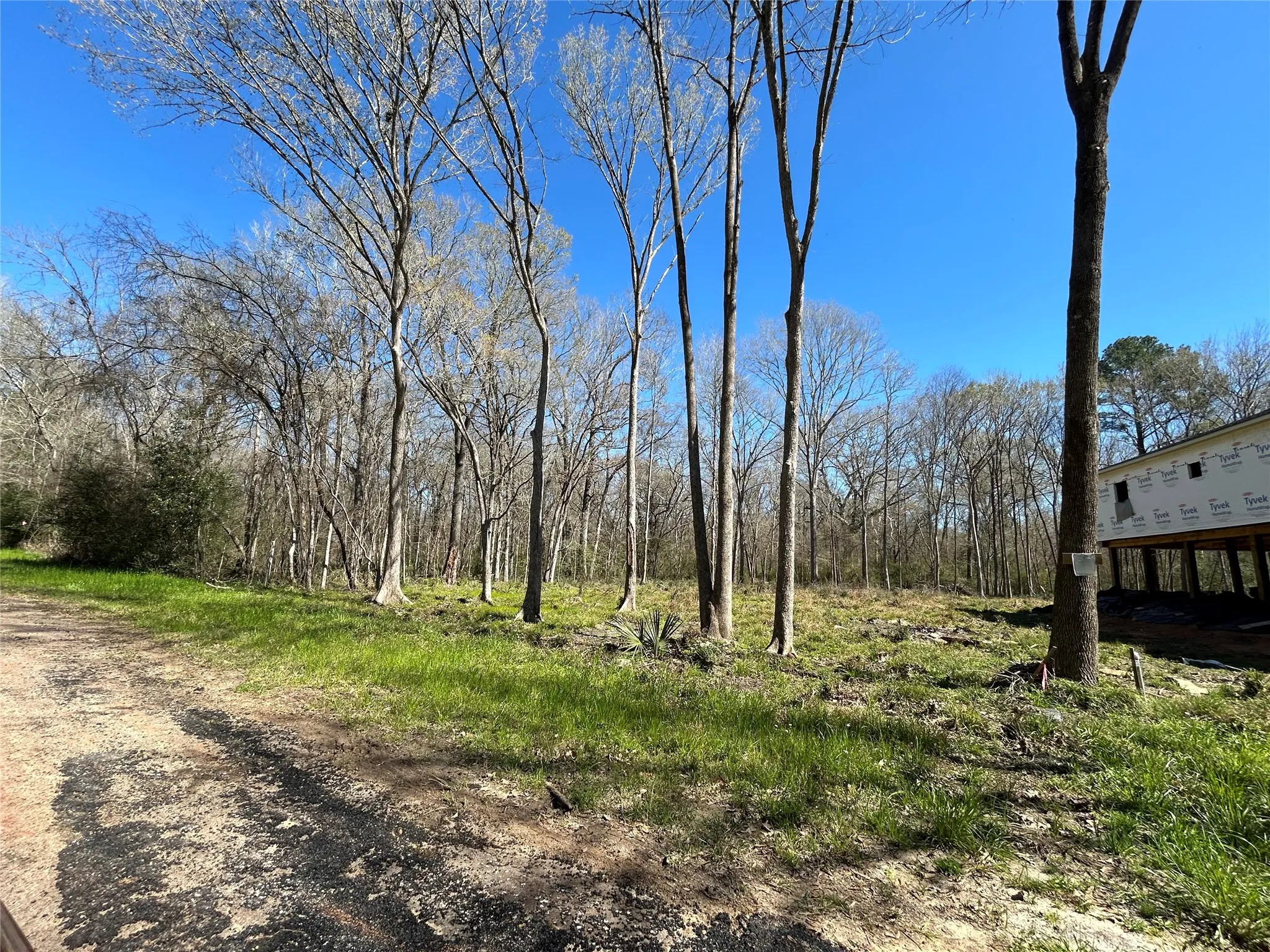 Looking toward LOT 471A