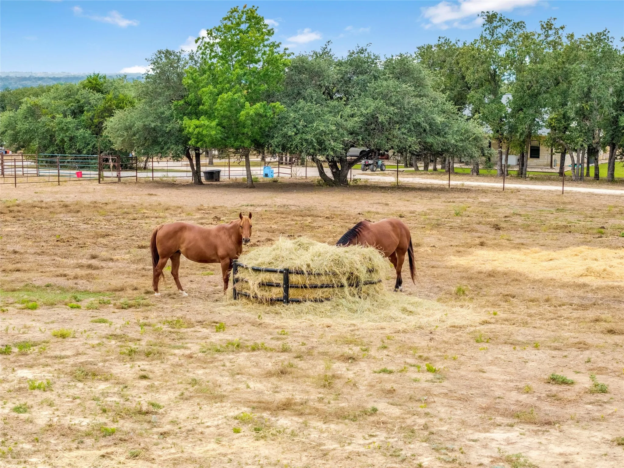 Farm For Sale in Erath County , 6000 County Road 351, Dublin, Texas 76446, 3 Bedroom, 2 Bathroom, Garage spaces, 1,910 Sqft, built in 2018, Unknown, mls#21066909, Real Estate Agent in Dublin, Homes For Sale in Erath county, Homes For Sale in Dublin, Realtor in Dublin Texas, Real Estate Brokerage Independent Realty Texas, Luminita Cordes Realtor