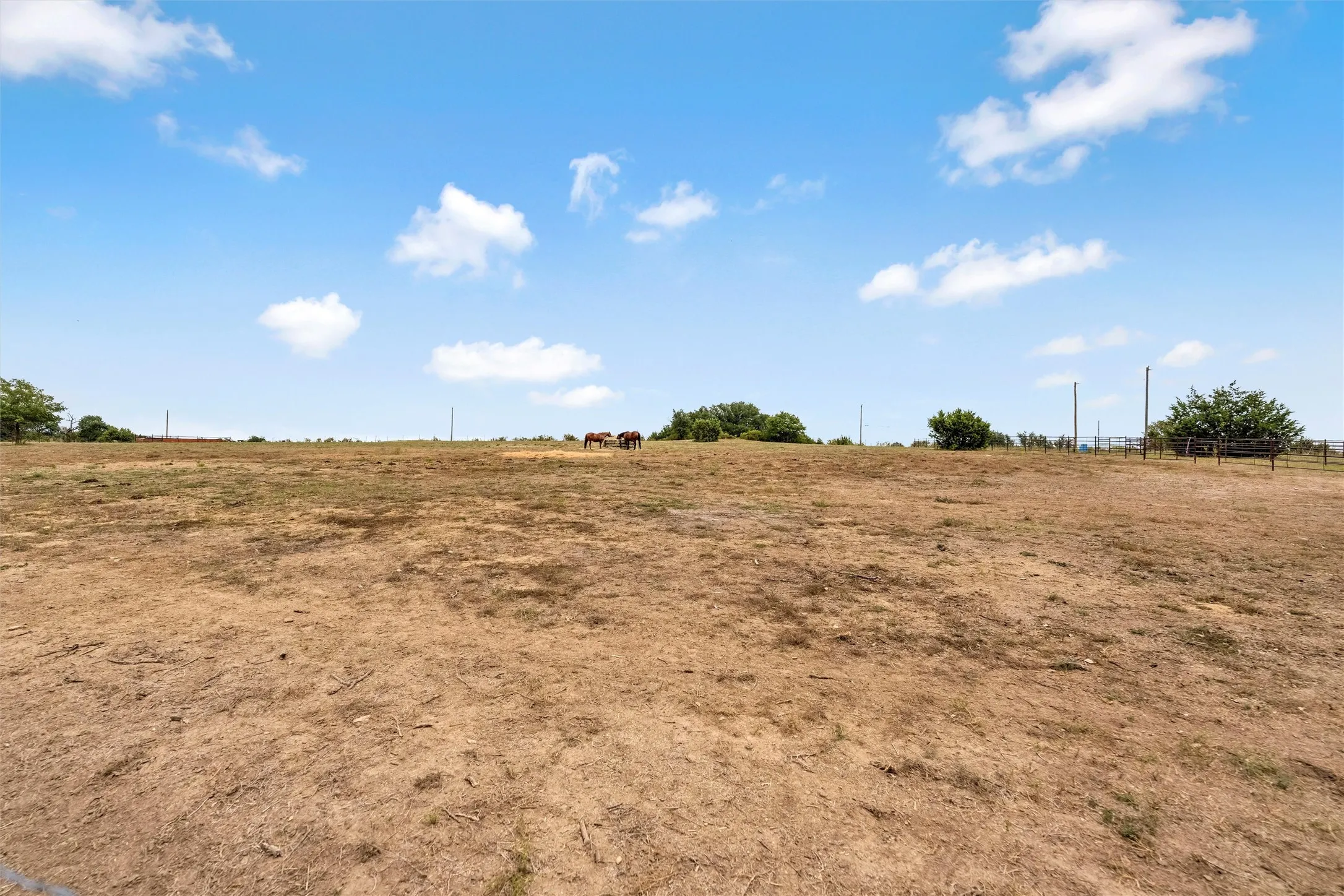 Farm For Sale in Erath County , 6000 County Road 351, Dublin, Texas 76446, 3 Bedroom, 2 Bathroom, Garage spaces, 1,910 Sqft, built in 2018, Unknown, mls#21066909, Real Estate Agent in Dublin, Homes For Sale in Erath county, Homes For Sale in Dublin, Realtor in Dublin Texas, Real Estate Brokerage Independent Realty Texas, Luminita Cordes Realtor