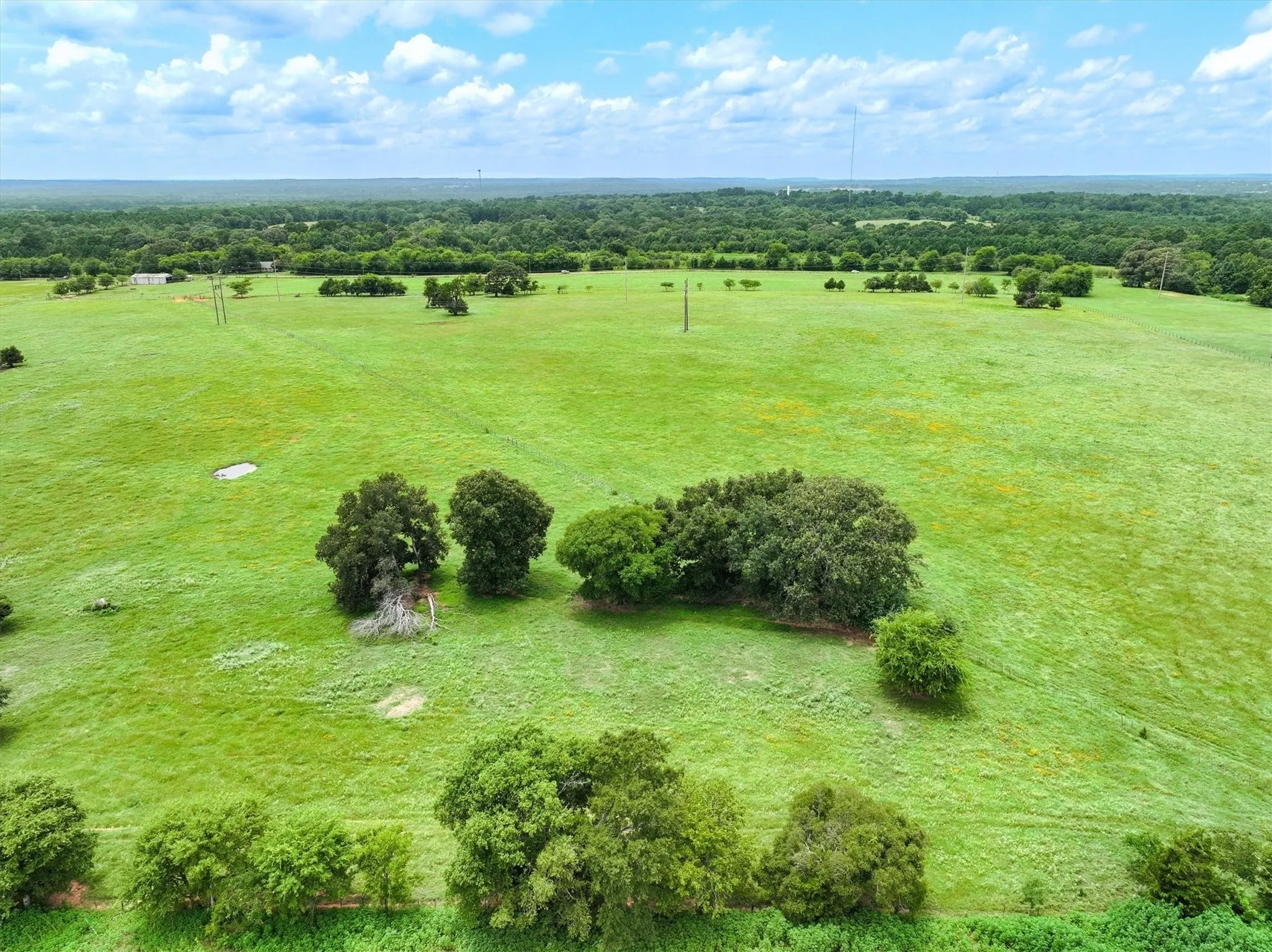 Unimproved Land For Sale in Cherokee County , Tract 3 FM 855, Jacksonville, Texas 75766, 0, 0, Garage spaces, 0 Sqft, built in 0, mls#21061898, Real Estate Agent in Jacksonville, Homes For Sale in Cherokee county, Homes For Sale in Jacksonville, Realtor in Jacksonville Texas, Real Estate Brokerage Independent Realty Texas, Luminita Cordes Realtor