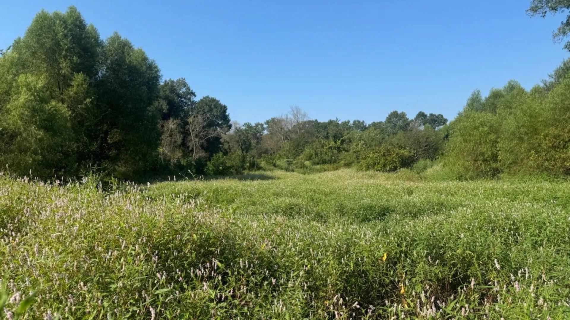 Farm For Sale in Franklin (TX) County , 768 County Road 2220, Talco, Texas 75487, 4 Bedroom, 3 Bathroom, 2 Garage spaces, 2,280 Sqft, built in 2012, mls#21068244, Real Estate Agent in Talco, Homes For Sale in Franklin (TX) county, Homes For Sale in Talco, Realtor in Talco Texas, Real Estate Brokerage Independent Realty Texas, Luminita Cordes Realtor