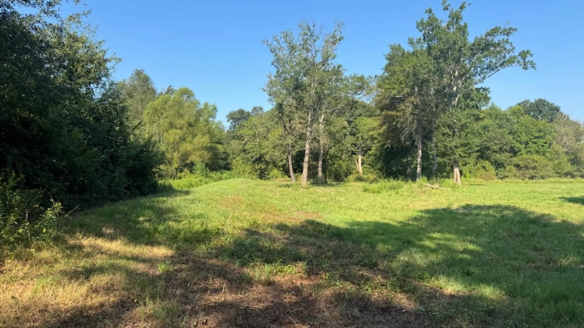 Farm For Sale in Franklin (TX) County , 768 County Road 2220, Talco, Texas 75487, 4 Bedroom, 3 Bathroom, 2 Garage spaces, 2,280 Sqft, built in 2012, mls#21068244, Real Estate Agent in Talco, Homes For Sale in Franklin (TX) county, Homes For Sale in Talco, Realtor in Talco Texas, Real Estate Brokerage Independent Realty Texas, Luminita Cordes Realtor