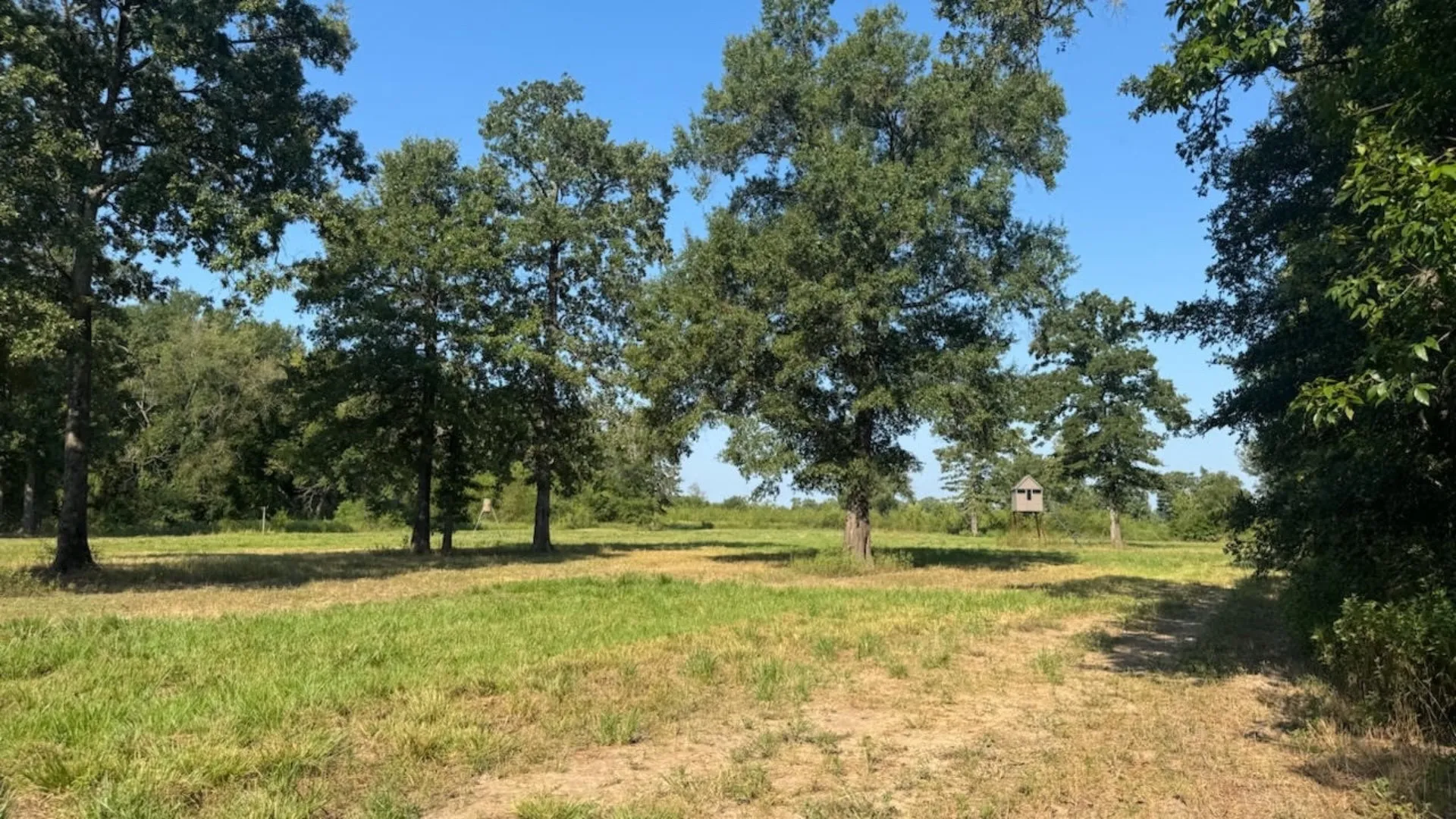 Farm For Sale in Franklin (TX) County , 768 County Road 2220, Talco, Texas 75487, 4 Bedroom, 3 Bathroom, 2 Garage spaces, 2,280 Sqft, built in 2012, mls#21068244, Real Estate Agent in Talco, Homes For Sale in Franklin (TX) county, Homes For Sale in Talco, Realtor in Talco Texas, Real Estate Brokerage Independent Realty Texas, Luminita Cordes Realtor