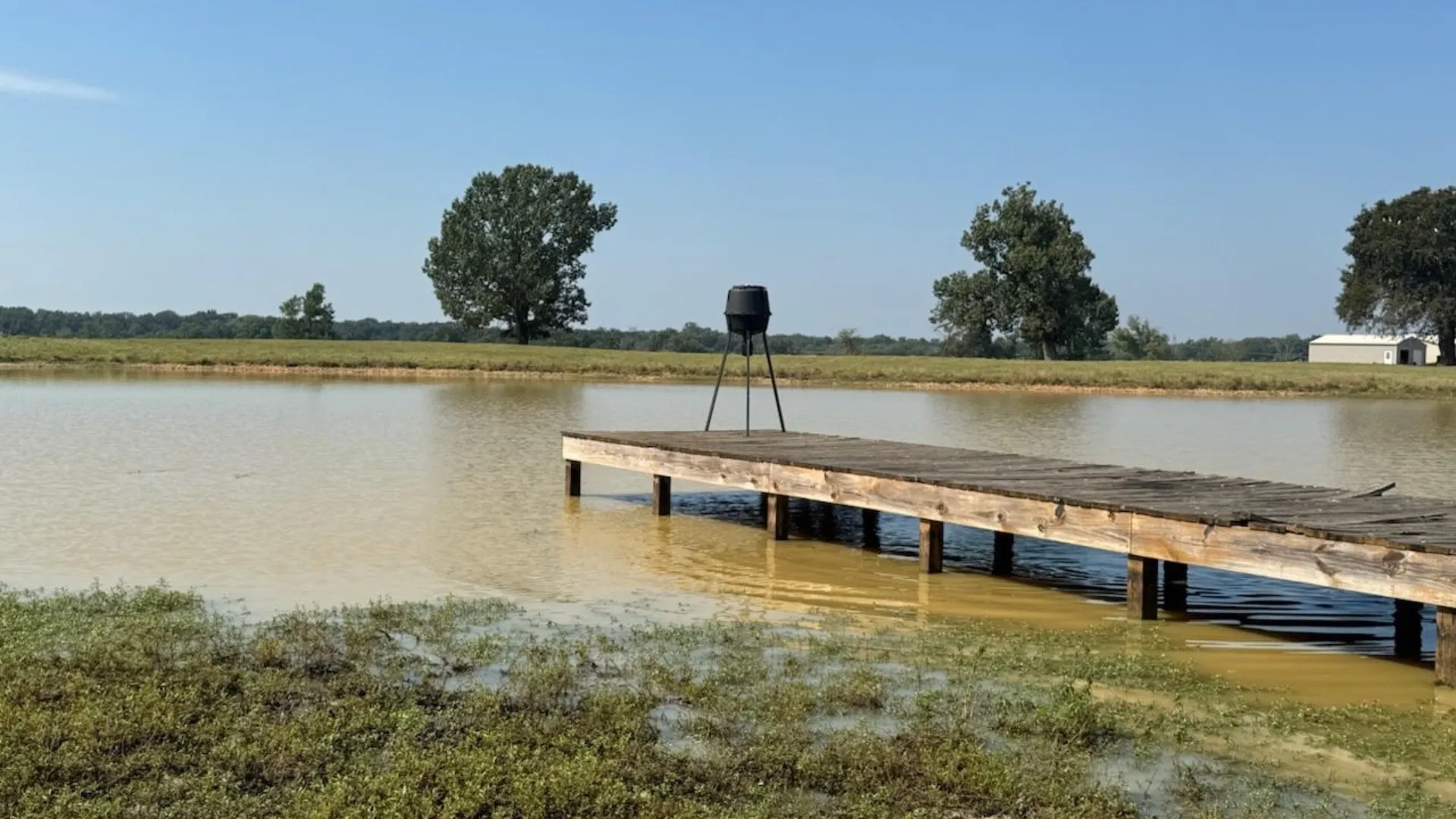 Farm For Sale in Franklin (TX) County , 768 County Road 2220, Talco, Texas 75487, 4 Bedroom, 3 Bathroom, 2 Garage spaces, 2,280 Sqft, built in 2012, mls#21068244, Real Estate Agent in Talco, Homes For Sale in Franklin (TX) county, Homes For Sale in Talco, Realtor in Talco Texas, Real Estate Brokerage Independent Realty Texas, Luminita Cordes Realtor