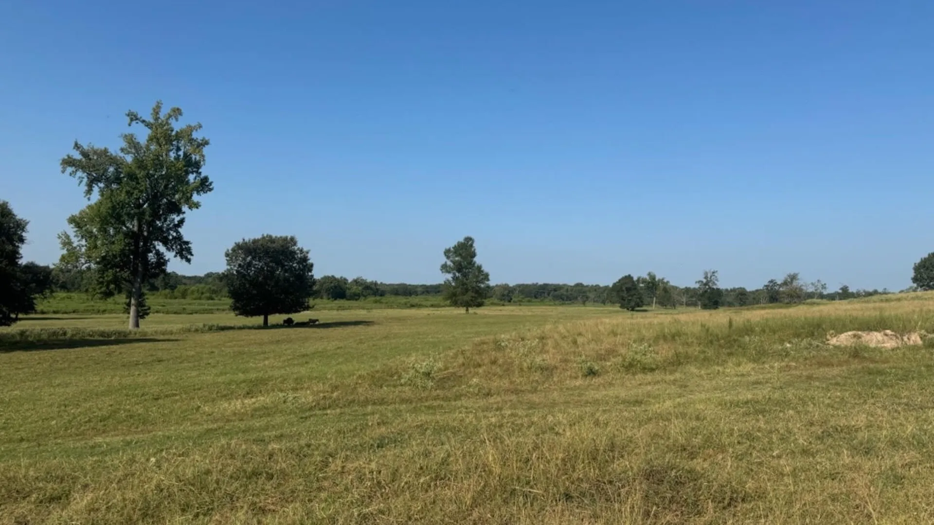Farm For Sale in Franklin (TX) County , 768 County Road 2220, Talco, Texas 75487, 4 Bedroom, 3 Bathroom, 2 Garage spaces, 2,280 Sqft, built in 2012, mls#21068244, Real Estate Agent in Talco, Homes For Sale in Franklin (TX) county, Homes For Sale in Talco, Realtor in Talco Texas, Real Estate Brokerage Independent Realty Texas, Luminita Cordes Realtor