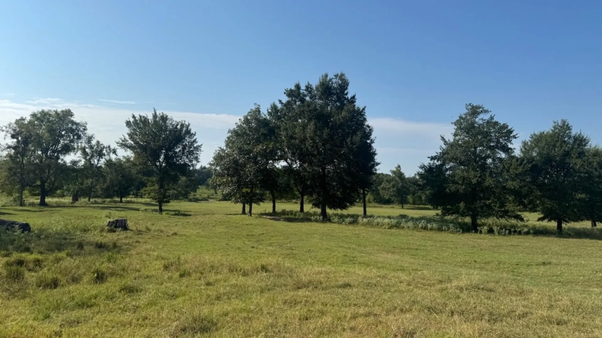 Farm For Sale in Franklin (TX) County , 768 County Road 2220, Talco, Texas 75487, 4 Bedroom, 3 Bathroom, 2 Garage spaces, 2,280 Sqft, built in 2012, mls#21068244, Real Estate Agent in Talco, Homes For Sale in Franklin (TX) county, Homes For Sale in Talco, Realtor in Talco Texas, Real Estate Brokerage Independent Realty Texas, Luminita Cordes Realtor