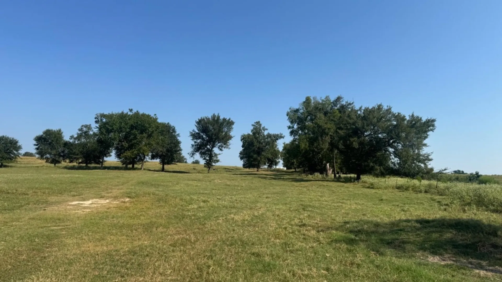 Farm For Sale in Franklin (TX) County , 768 County Road 2220, Talco, Texas 75487, 4 Bedroom, 3 Bathroom, 2 Garage spaces, 2,280 Sqft, built in 2012, mls#21068244, Real Estate Agent in Talco, Homes For Sale in Franklin (TX) county, Homes For Sale in Talco, Realtor in Talco Texas, Real Estate Brokerage Independent Realty Texas, Luminita Cordes Realtor