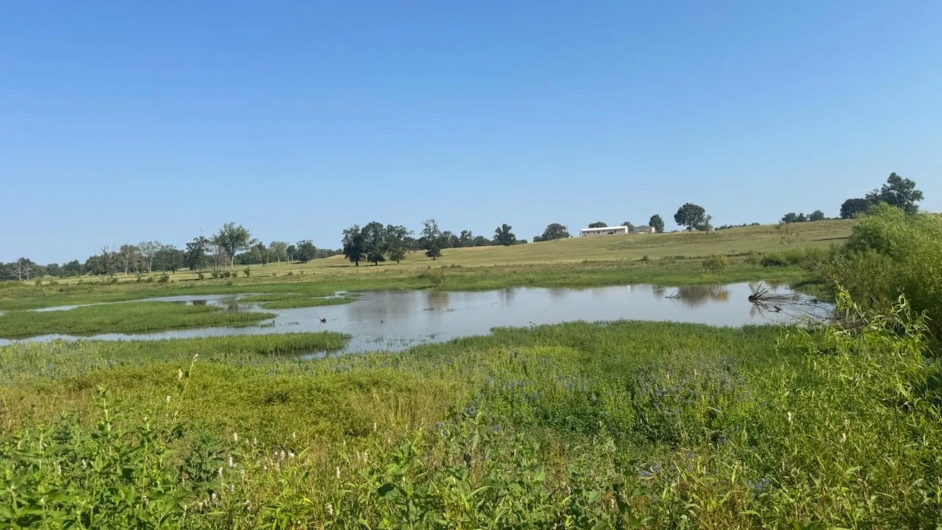 Farm For Sale in Franklin (TX) County , 768 County Road 2220, Talco, Texas 75487, 4 Bedroom, 3 Bathroom, 2 Garage spaces, 2,280 Sqft, built in 2012, mls#21068244, Real Estate Agent in Talco, Homes For Sale in Franklin (TX) county, Homes For Sale in Talco, Realtor in Talco Texas, Real Estate Brokerage Independent Realty Texas, Luminita Cordes Realtor