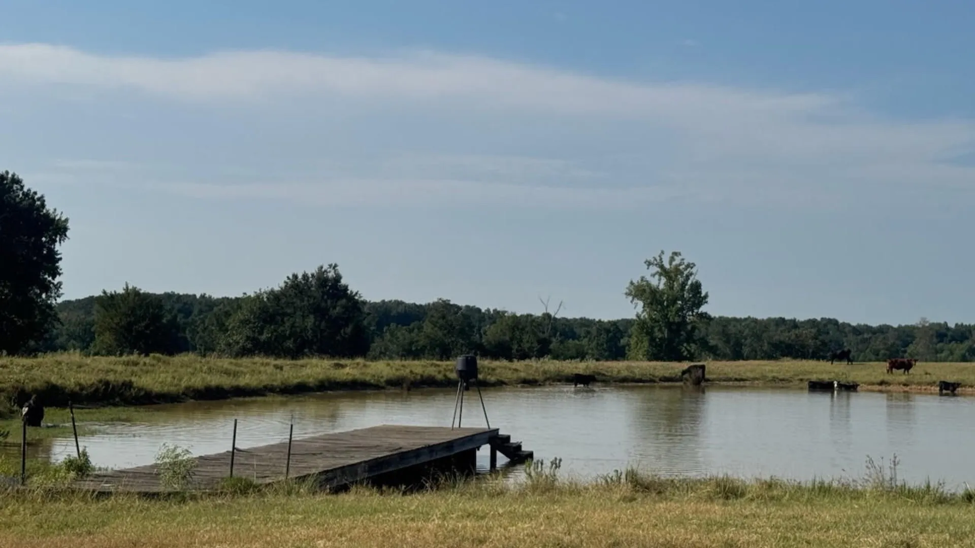 Farm For Sale in Franklin (TX) County , 768 County Road 2220, Talco, Texas 75487, 4 Bedroom, 3 Bathroom, 2 Garage spaces, 2,280 Sqft, built in 2012, mls#21068244, Real Estate Agent in Talco, Homes For Sale in Franklin (TX) county, Homes For Sale in Talco, Realtor in Talco Texas, Real Estate Brokerage Independent Realty Texas, Luminita Cordes Realtor