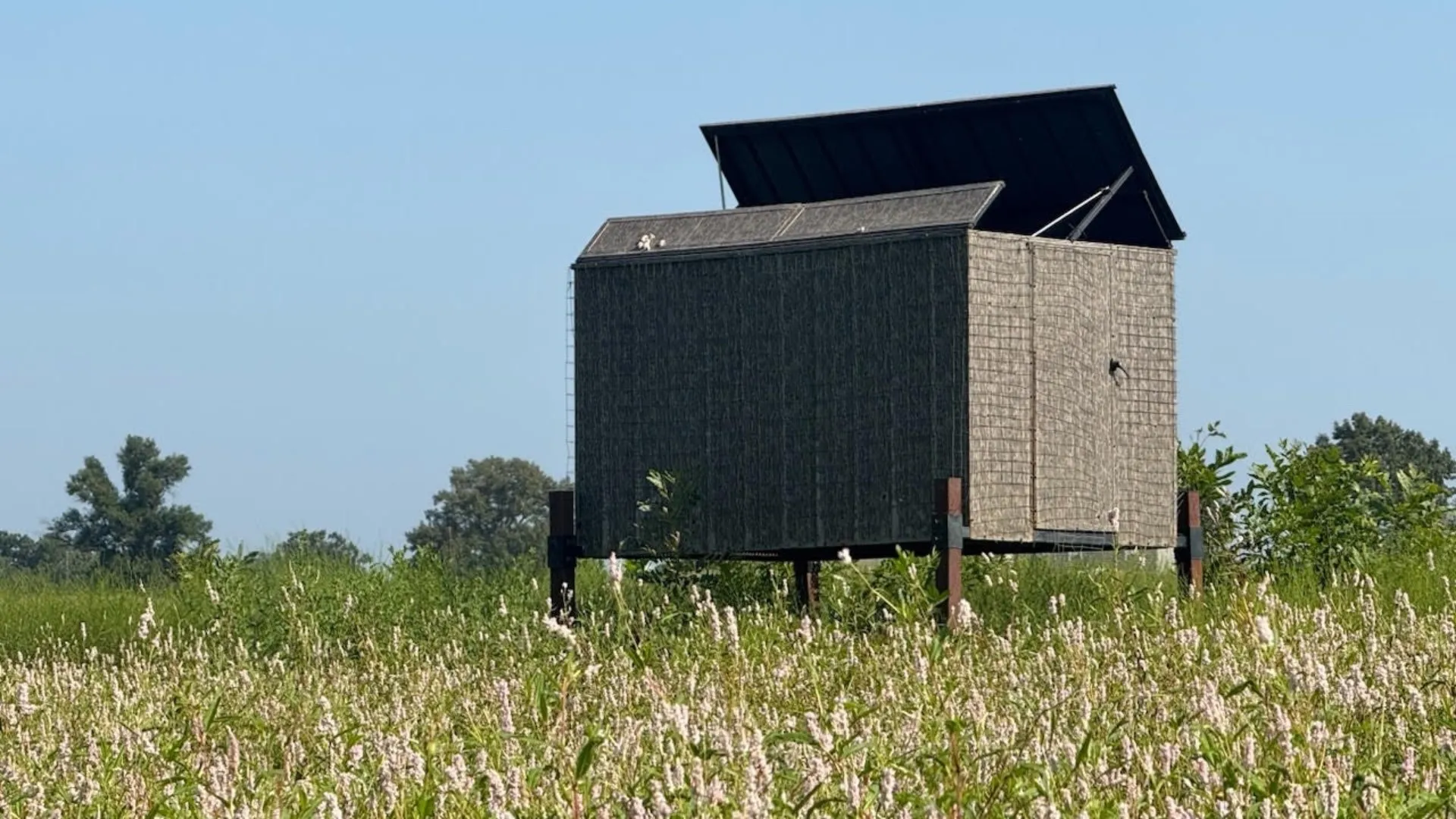 Farm For Sale in Franklin (TX) County , 768 County Road 2220, Talco, Texas 75487, 4 Bedroom, 3 Bathroom, 2 Garage spaces, 2,280 Sqft, built in 2012, mls#21068244, Real Estate Agent in Talco, Homes For Sale in Franklin (TX) county, Homes For Sale in Talco, Realtor in Talco Texas, Real Estate Brokerage Independent Realty Texas, Luminita Cordes Realtor